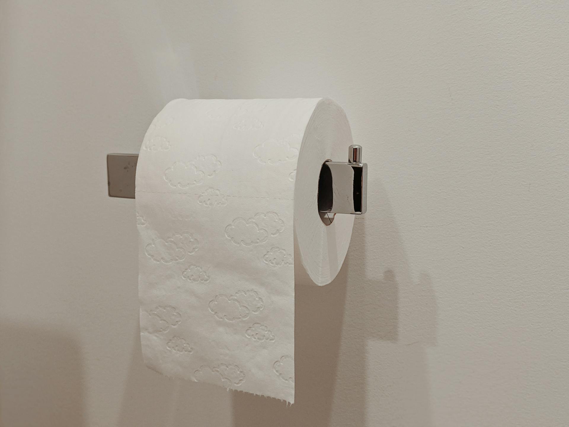 Un rollo de papel higiénico | Fuente: Pexels