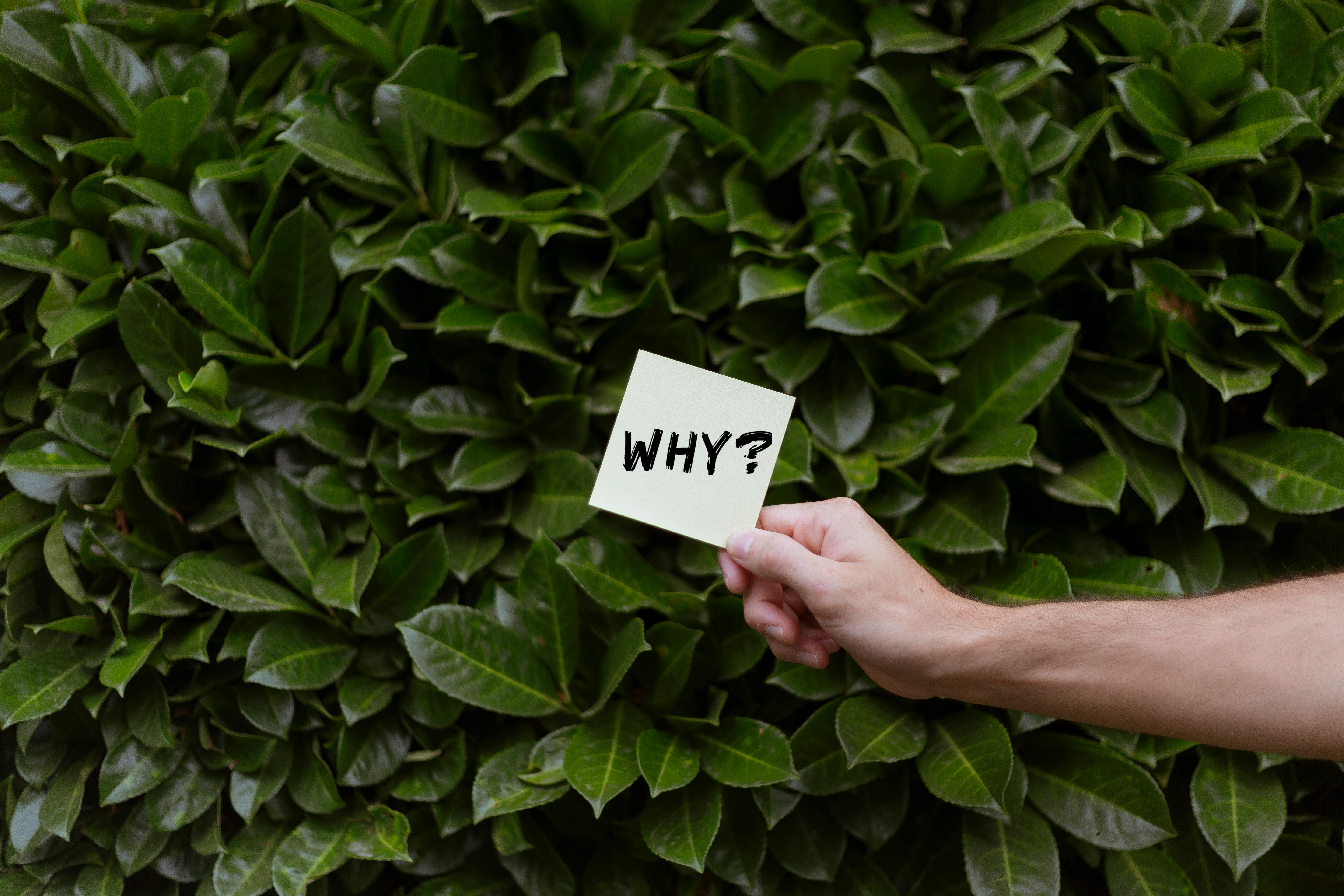 Imagen con fines ilustrativos | Foto: Pexels