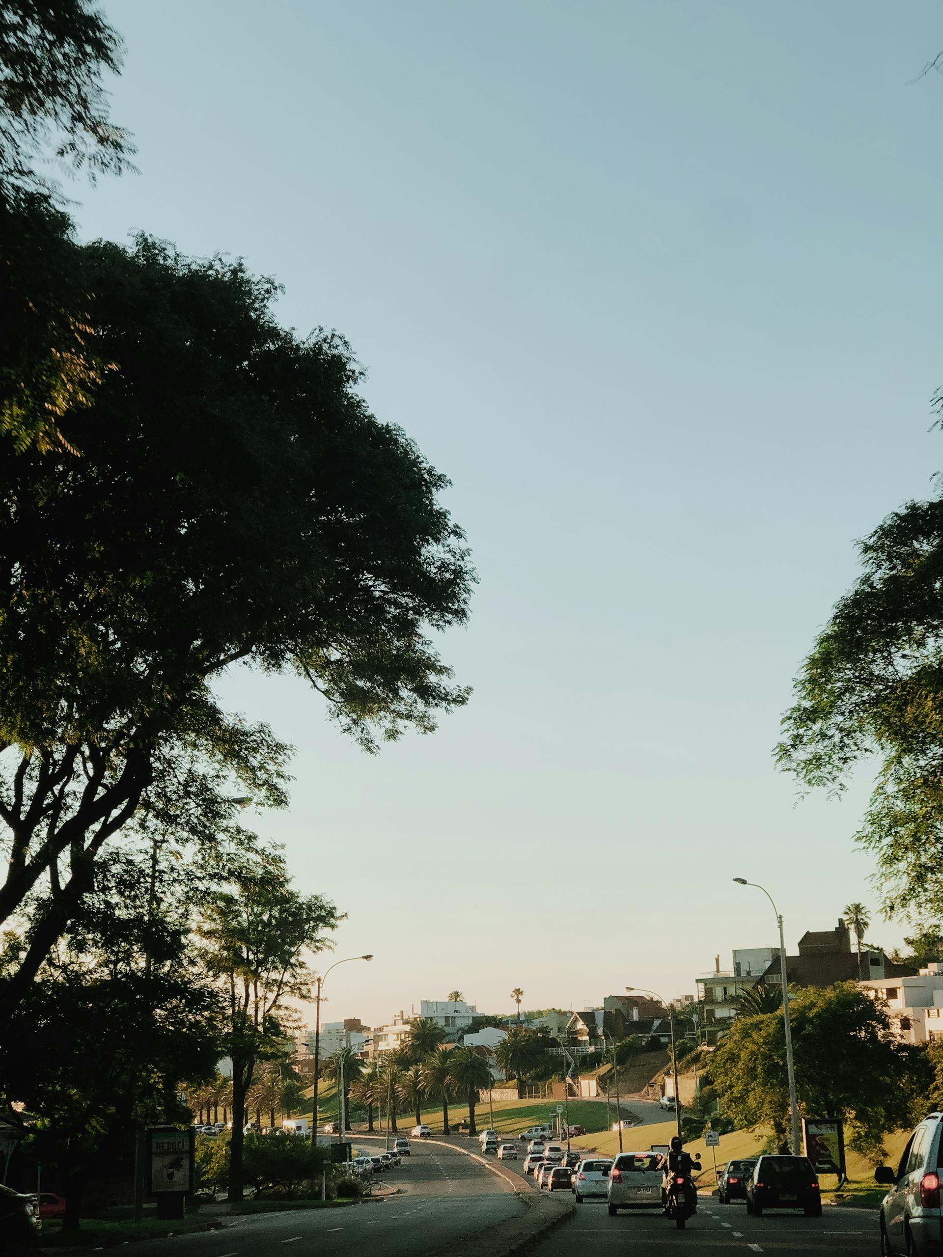 Tráfico suburbano | Fuente: Pexels