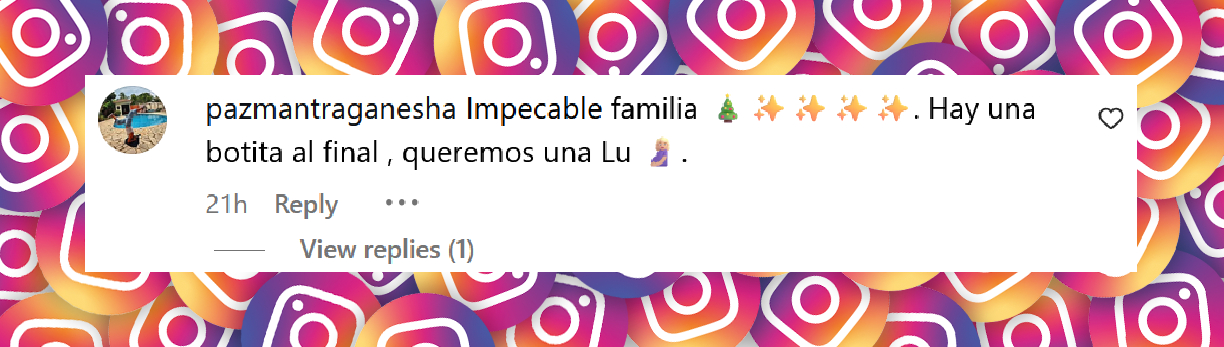 Comentario de una persona sobre el detalle en la fotografía de Luisana Lopilato que desató rumores de embarazo | Fuente: Instagram/luisanalopilato