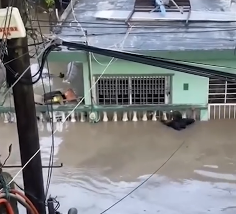 El hombre avanzando en medio de la inundación para rescatar al perro | Fuente: Instagram/latinus_us