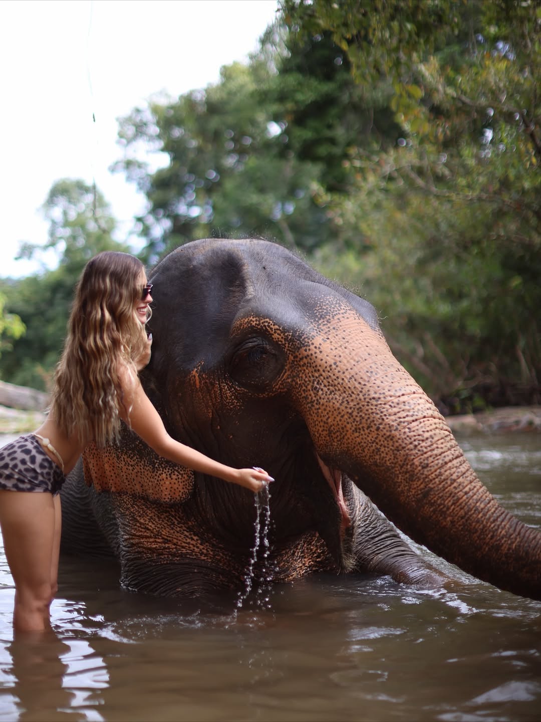 Julieta Poggio desató polémica por sus fotos junto a Elefantes en Tailandia. | Instagram/@poggiojulieta