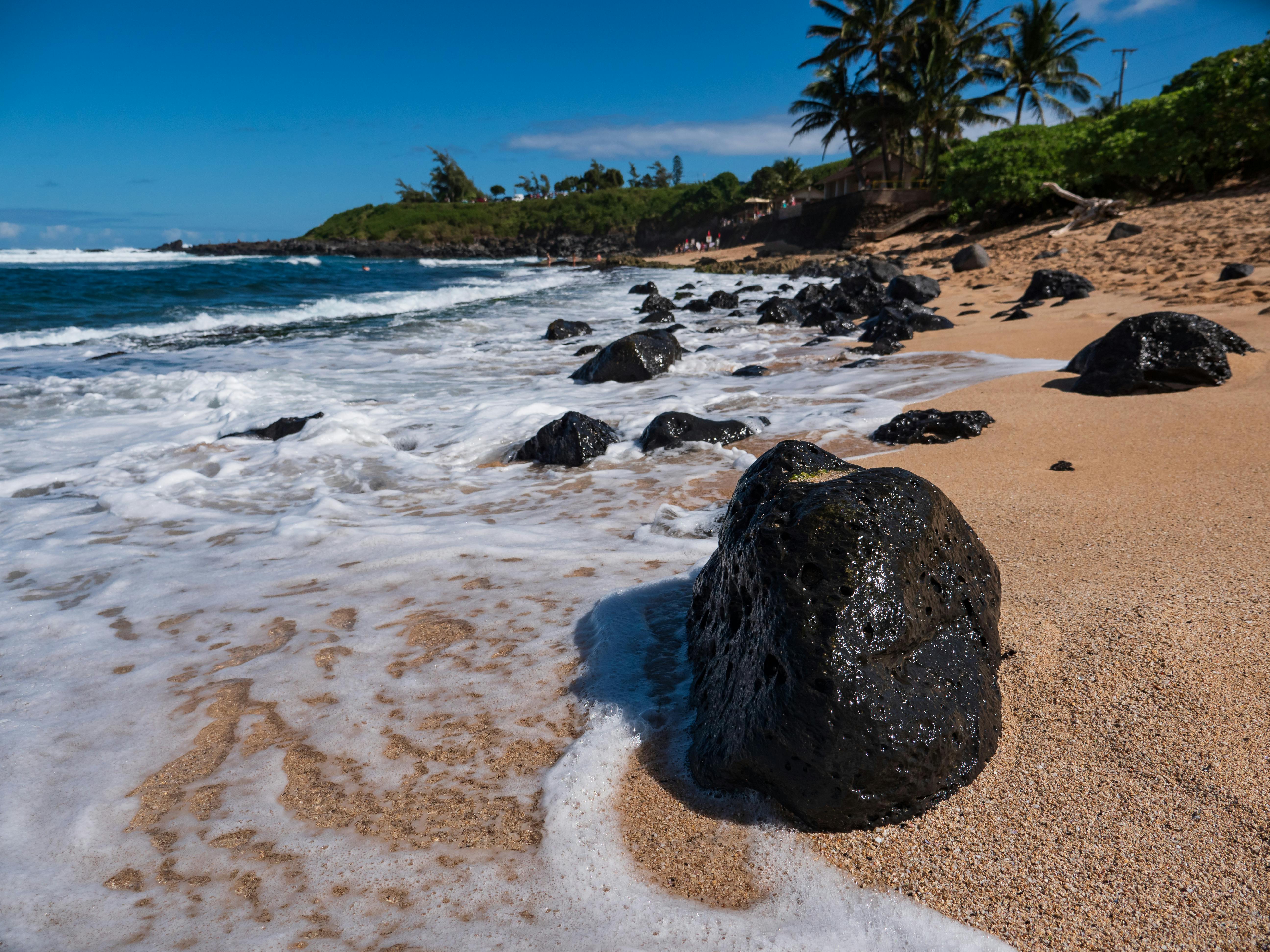 Una playa | Fuente: Pexels