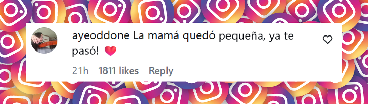 Comentario de una usuaria sobre la publicación de Luisana Lopilato para su hijo Noah | Fuente: Instagram/luisanalopilato