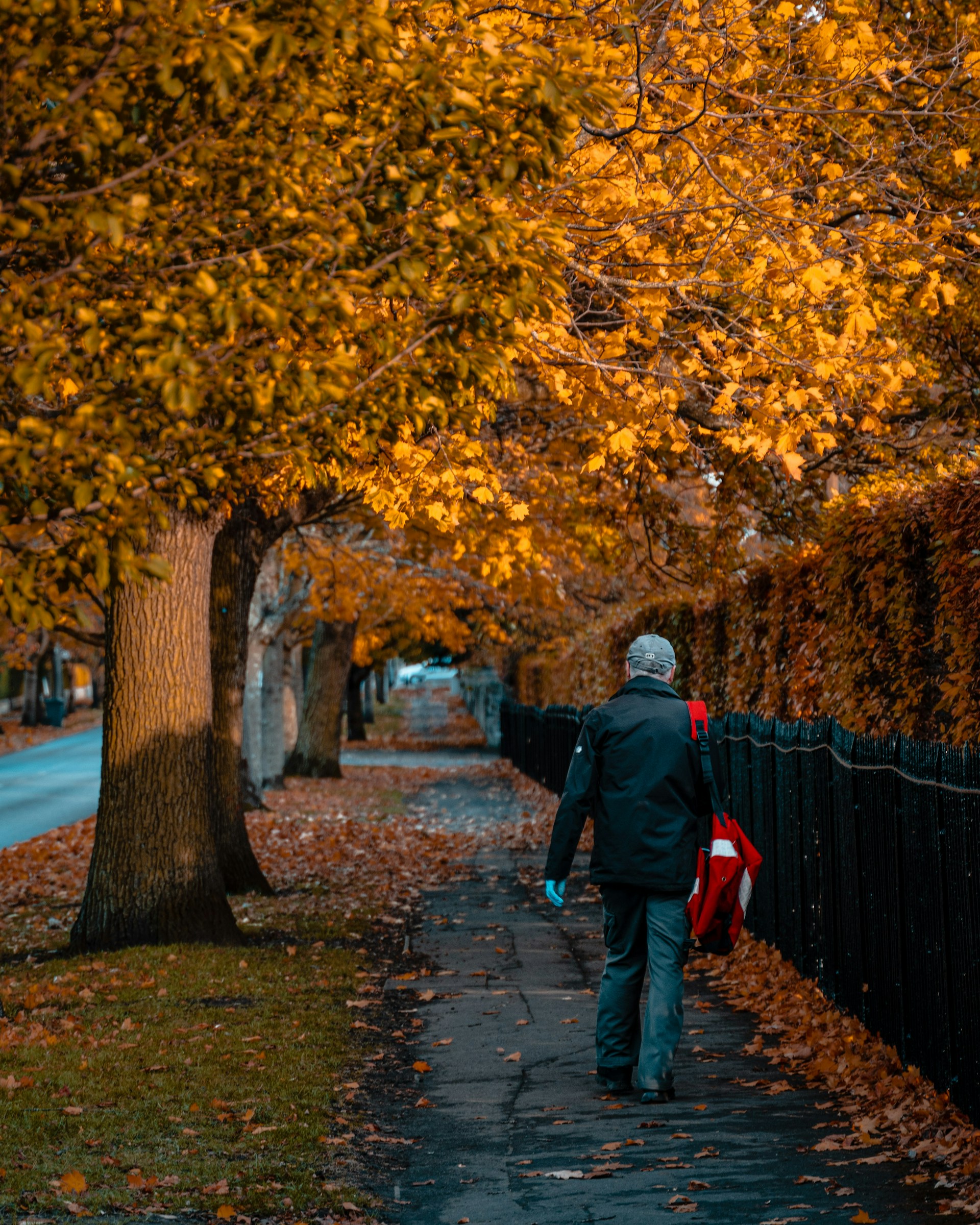 Un hombre caminando por un sendero arbolado | Fuente: Unsplash