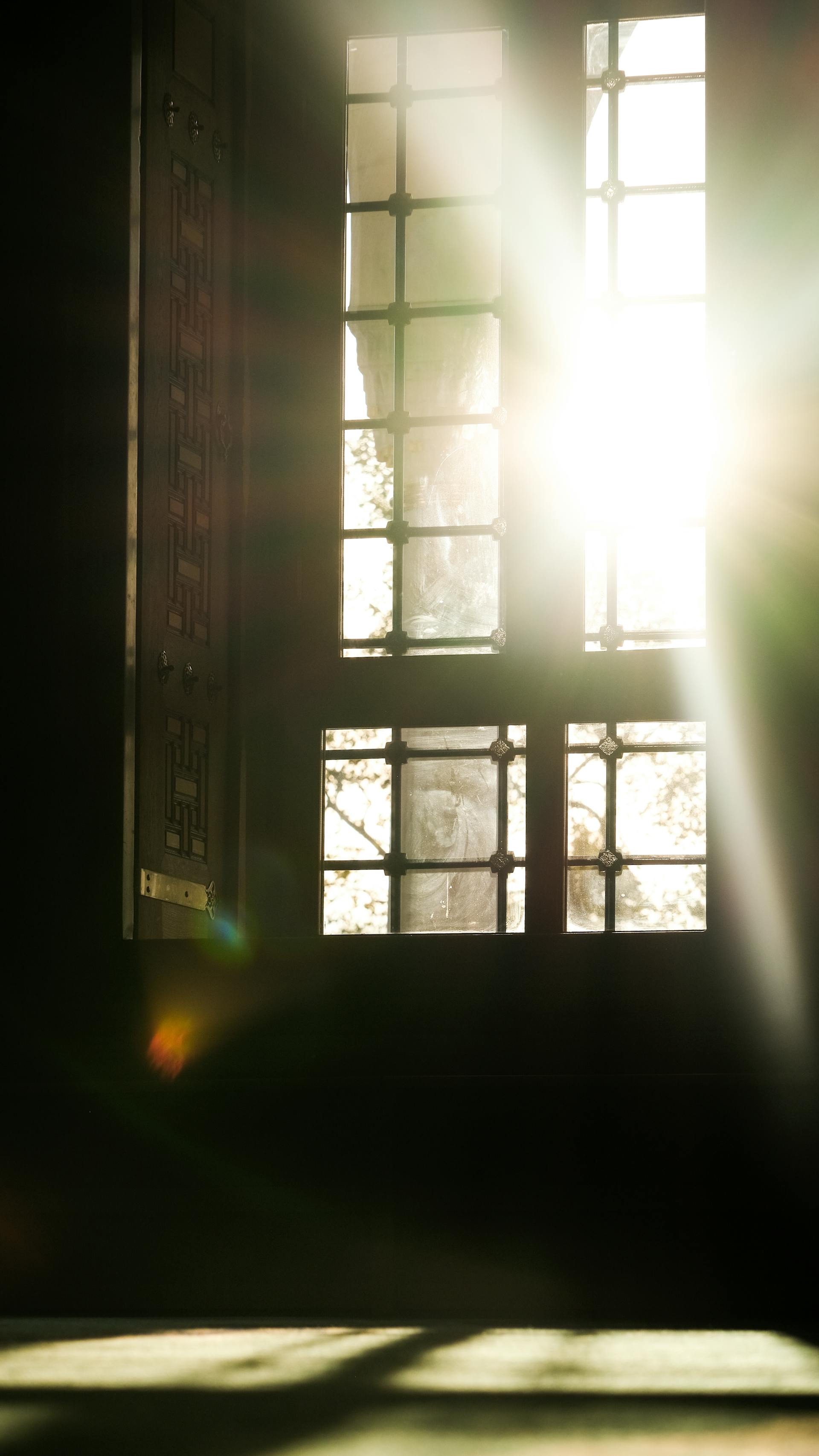 Luz solar entrando por una ventana | Fuente: Pexels