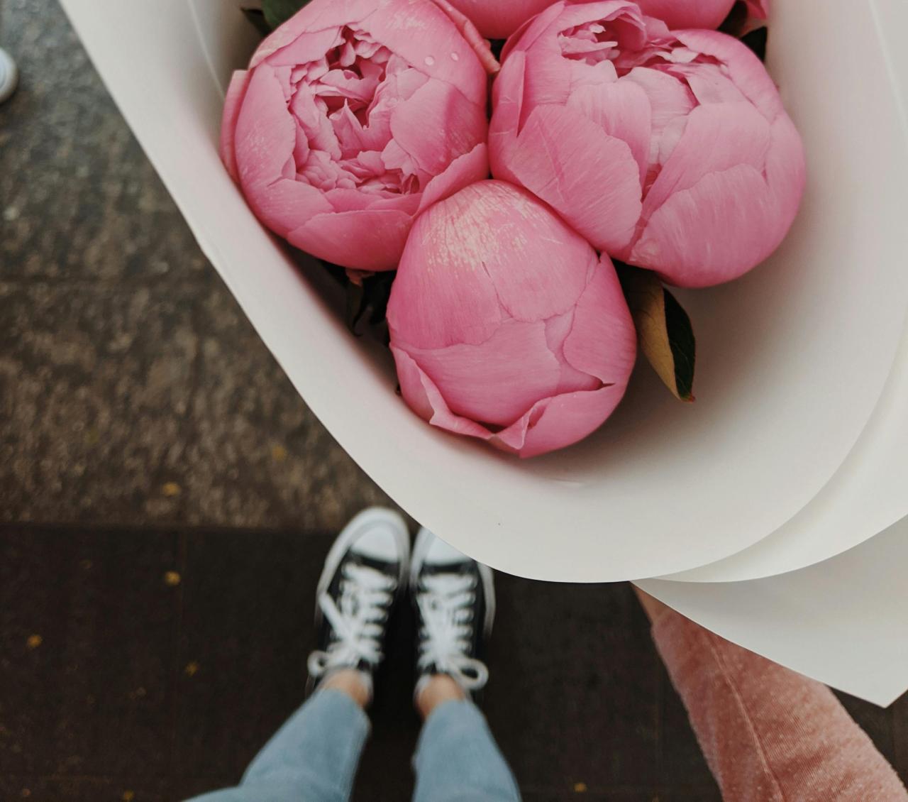 Imagen con fines ilustrativos | Foto: Pexels