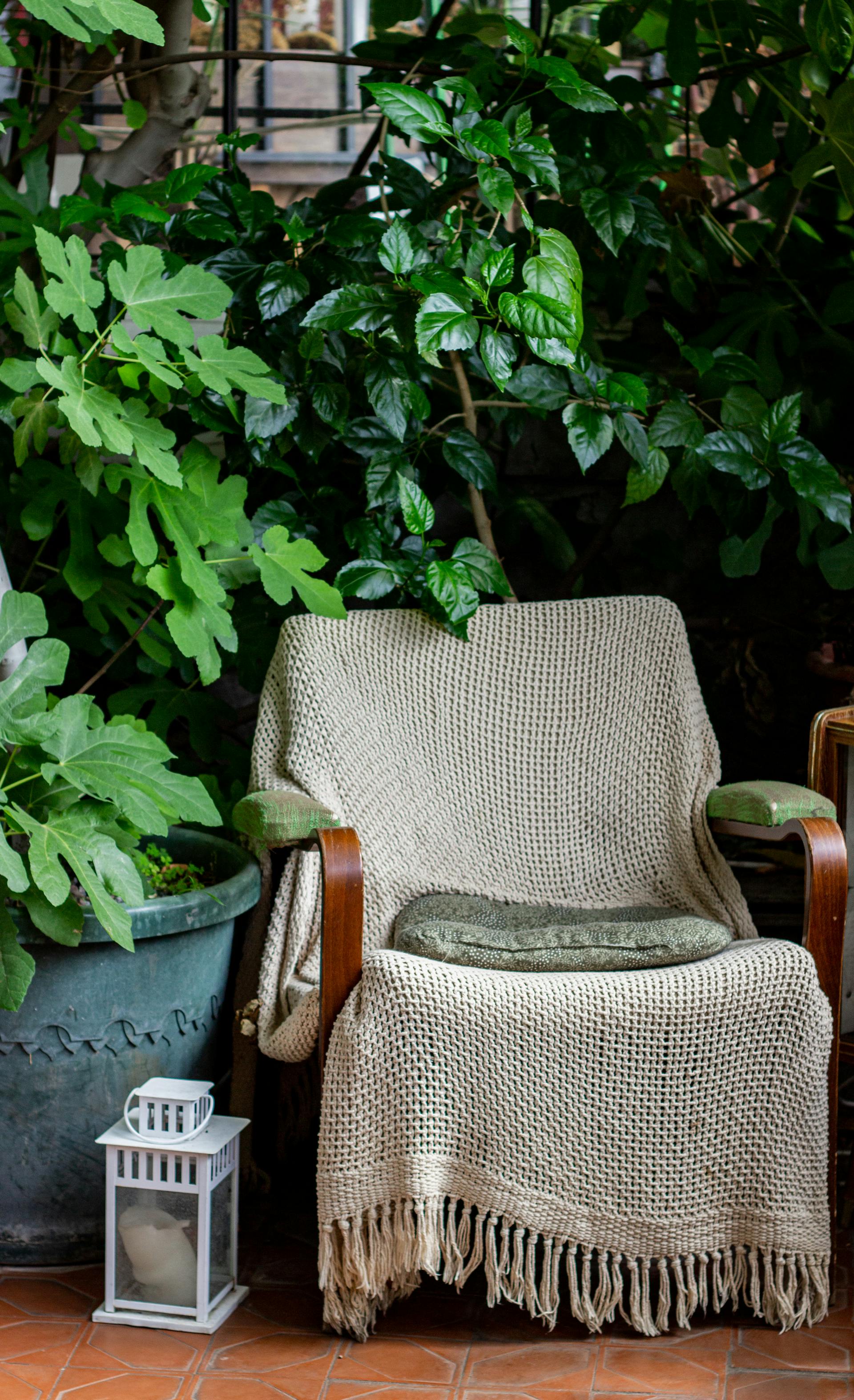 Una manta tendida sobre una silla | Fuente: Pexels