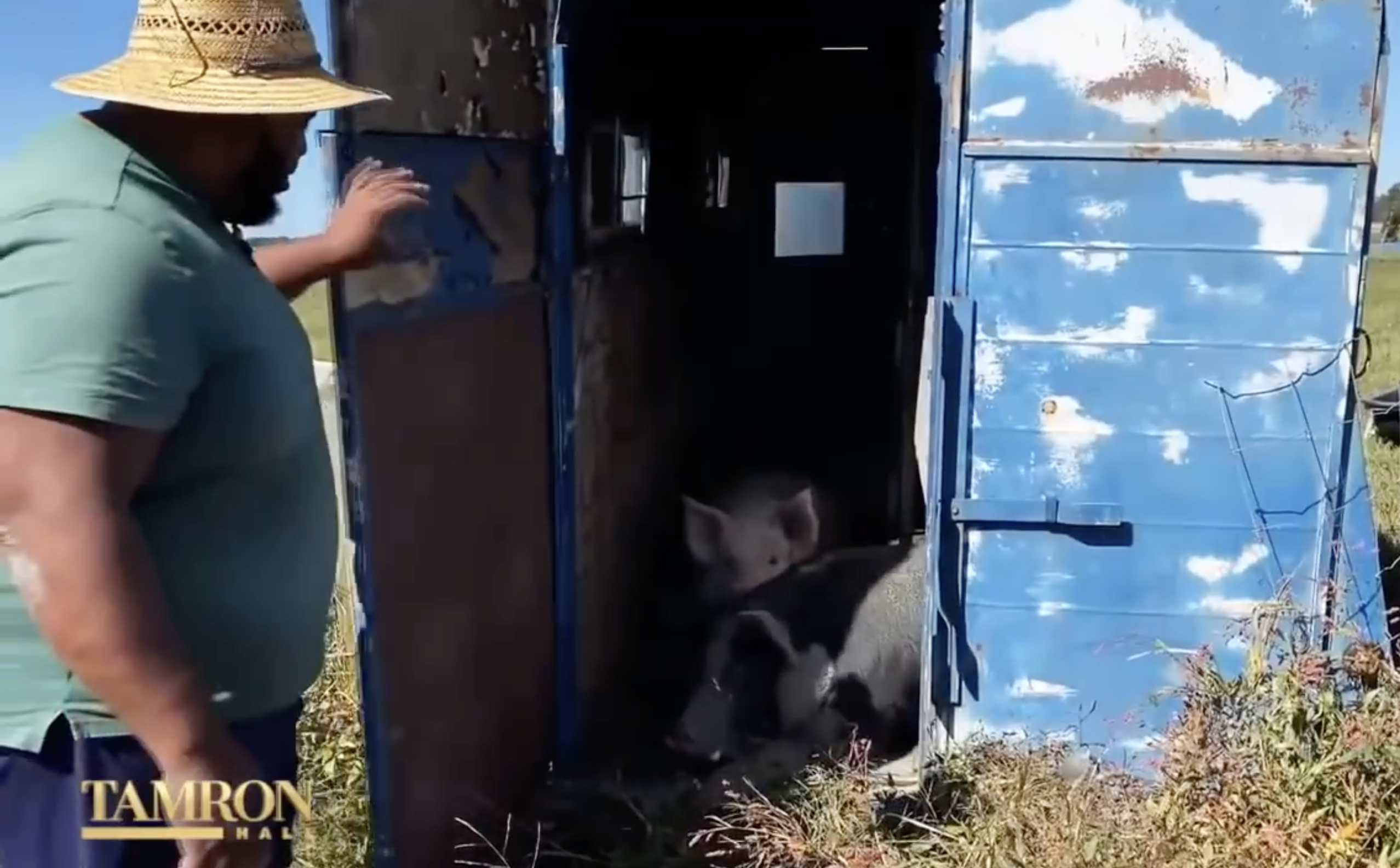 La estrella con ganado en su granja | Fuente: YouTube/TamronHallShow