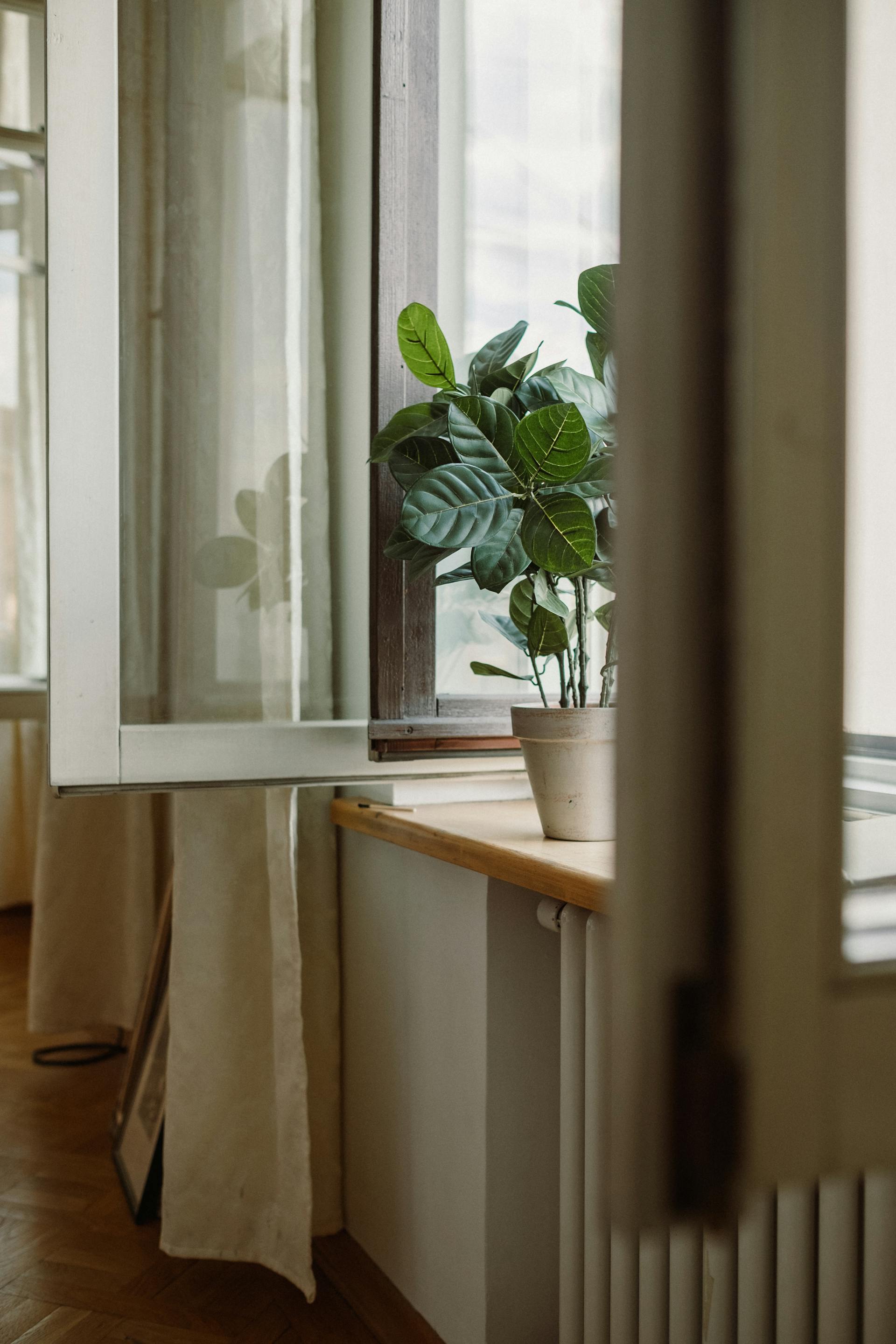 Ventanas abiertas en una casa | Fuente: Pexels