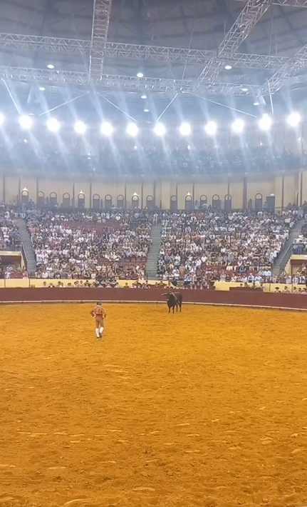 Imágenes previas al momento en que el toro embistió a Manuel María Trindade en la corrida | Fuente: x.com/porqueTTarg