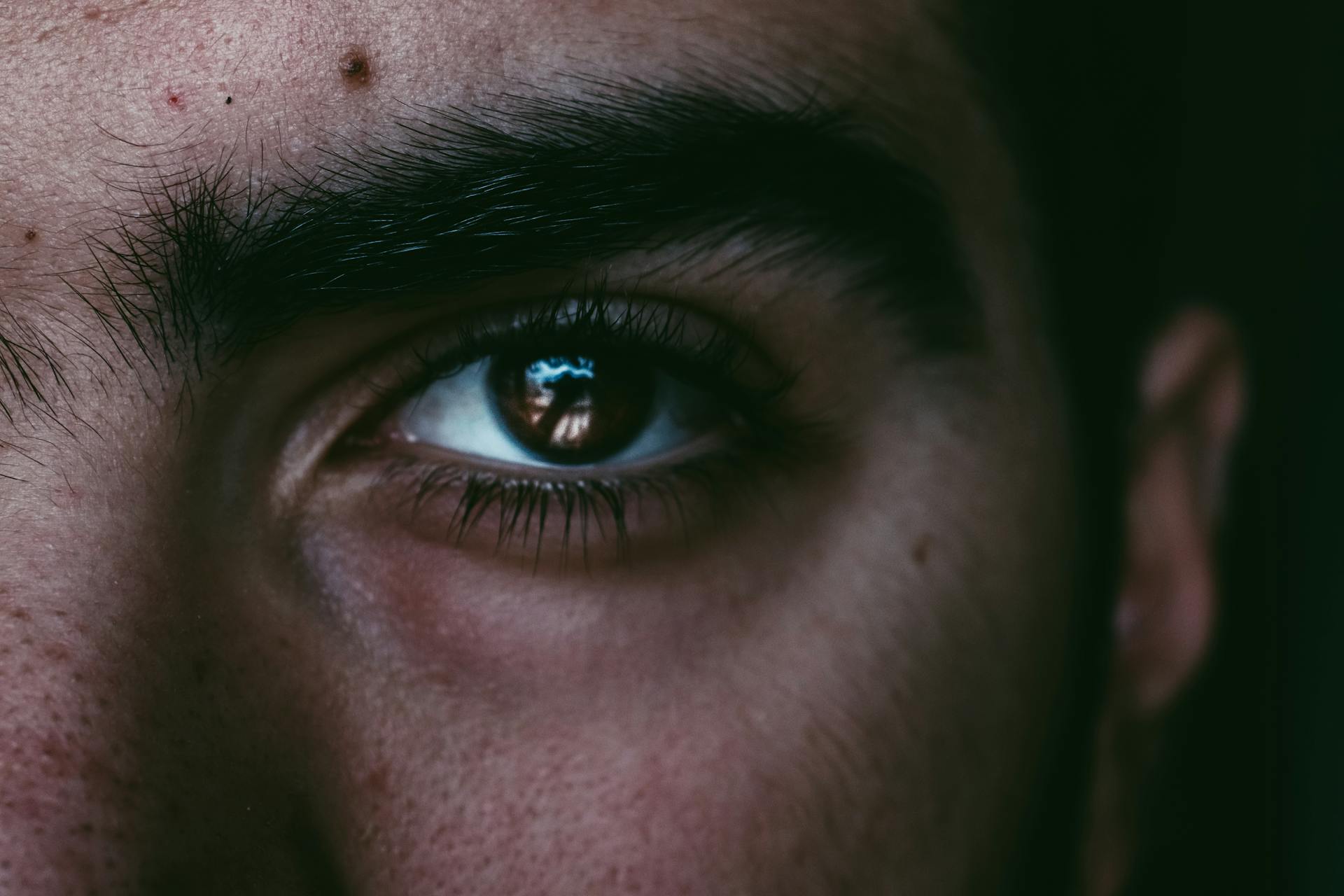 Imagen con fines ilustrativos | Foto: Pexels