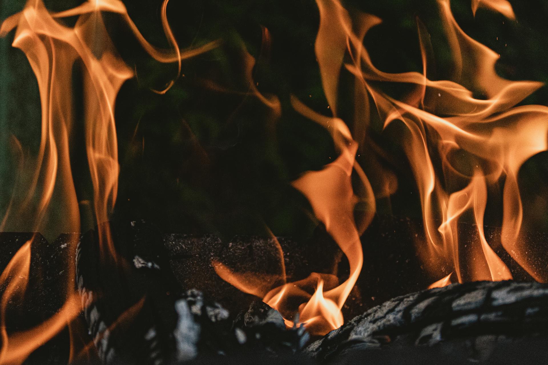 Primer plano de fuego | Fuente: Pexels