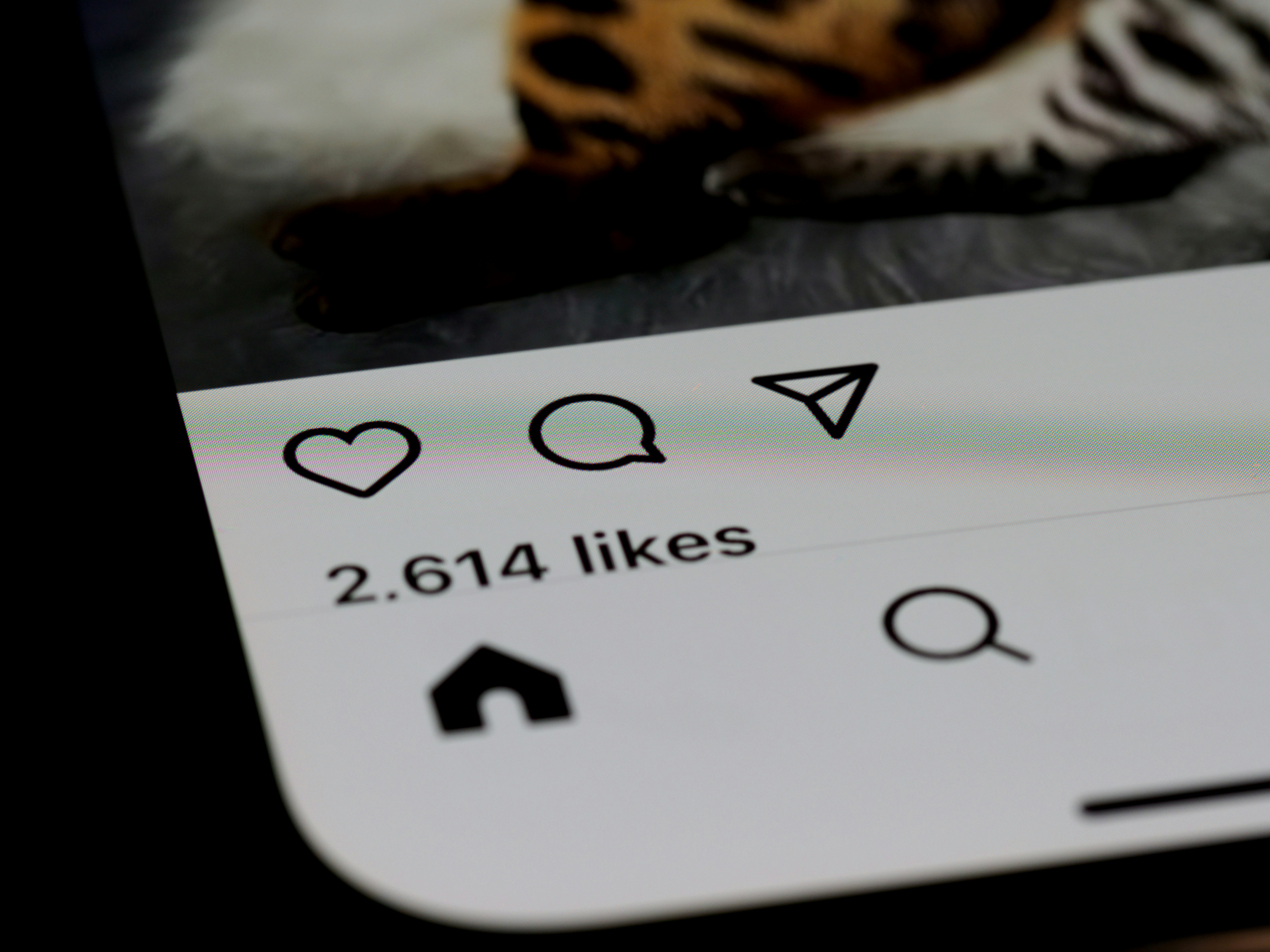 El número de "Me gusta" en una publicación en redes sociales | Fuente: Unsplash