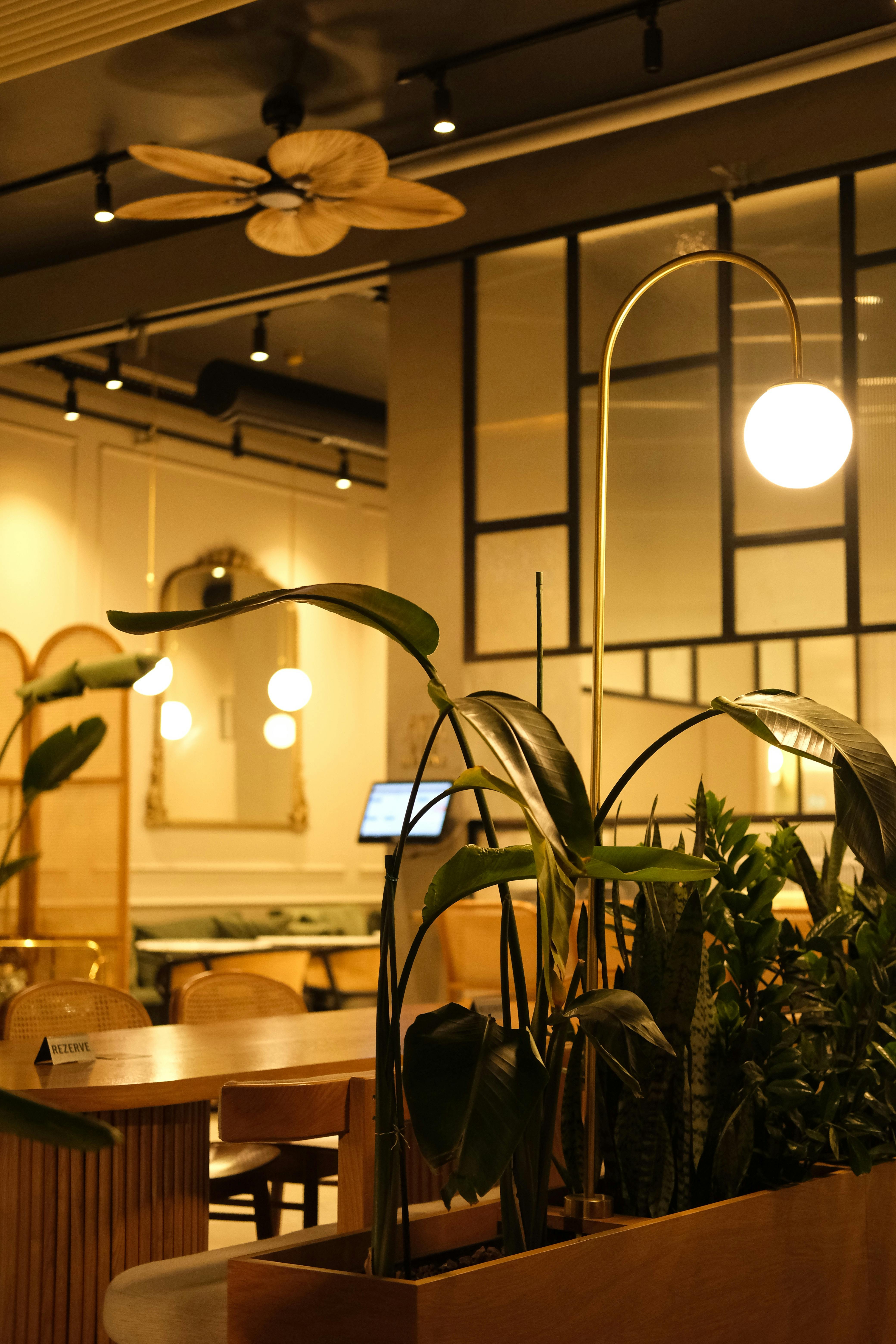 El interior de un restaurante | Fuente: Pexels