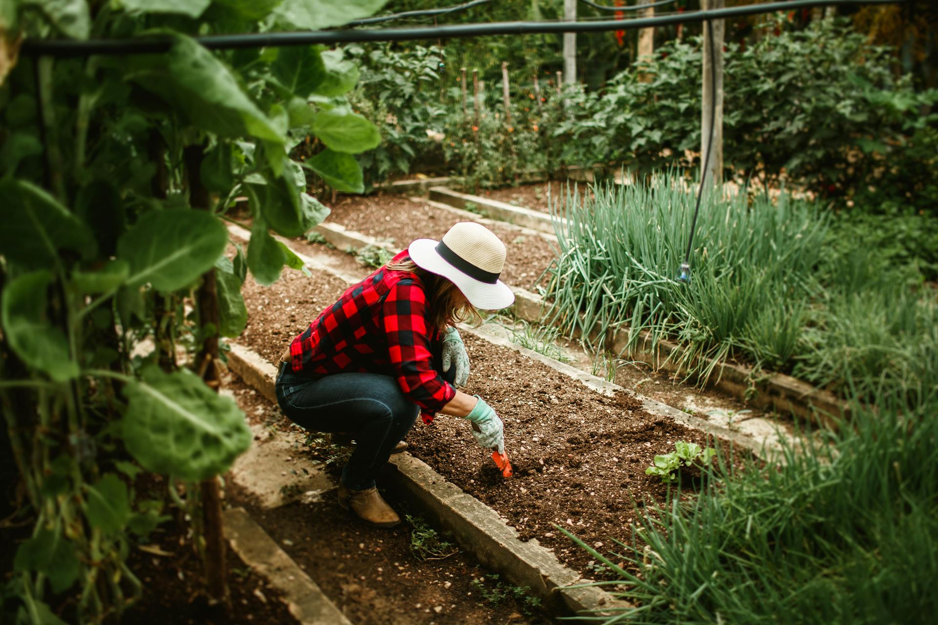 Una mujer trabajando en el jardín | Fuente: Pexels