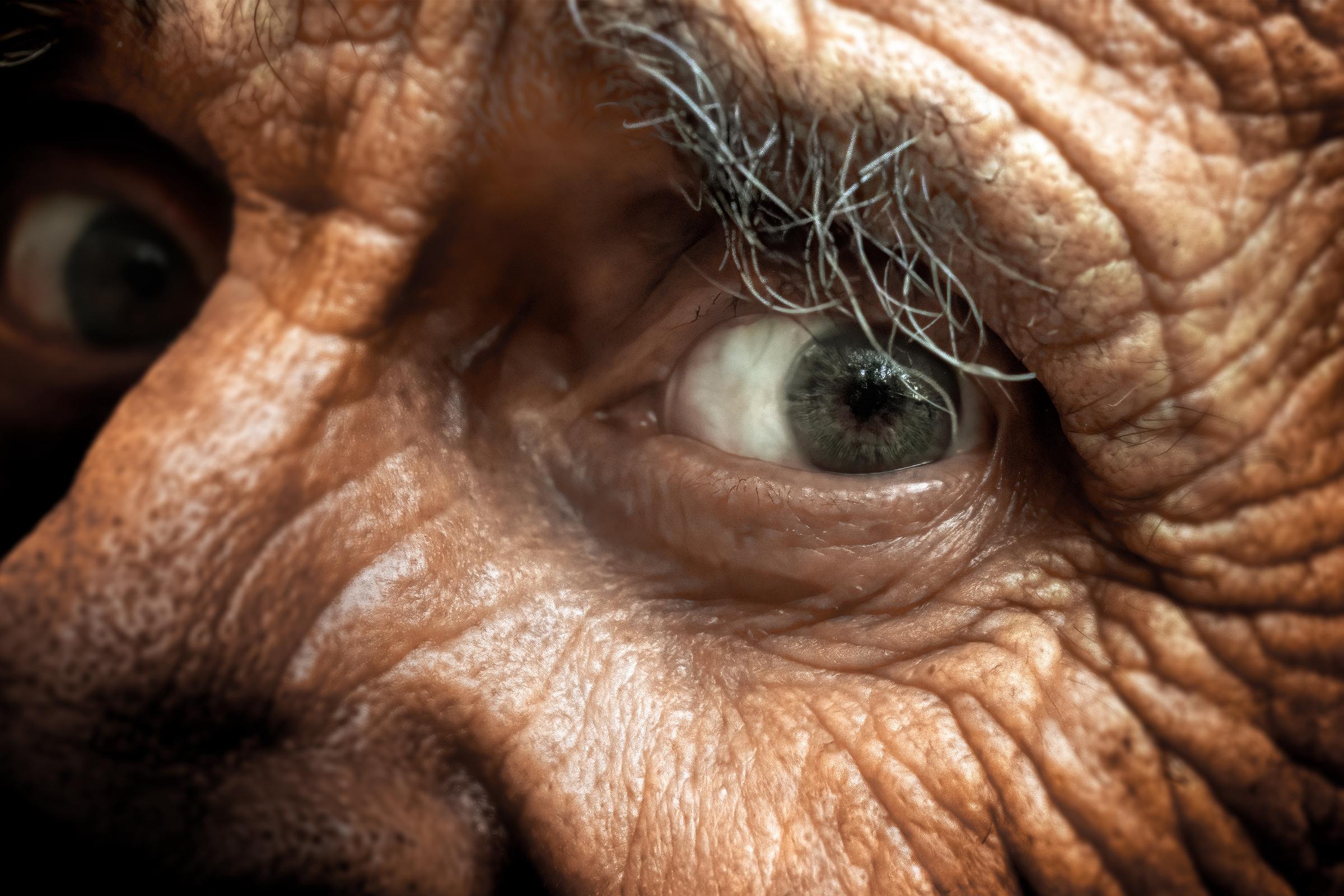 Imagen con fines ilustrativos | Foto: Shutterstock
