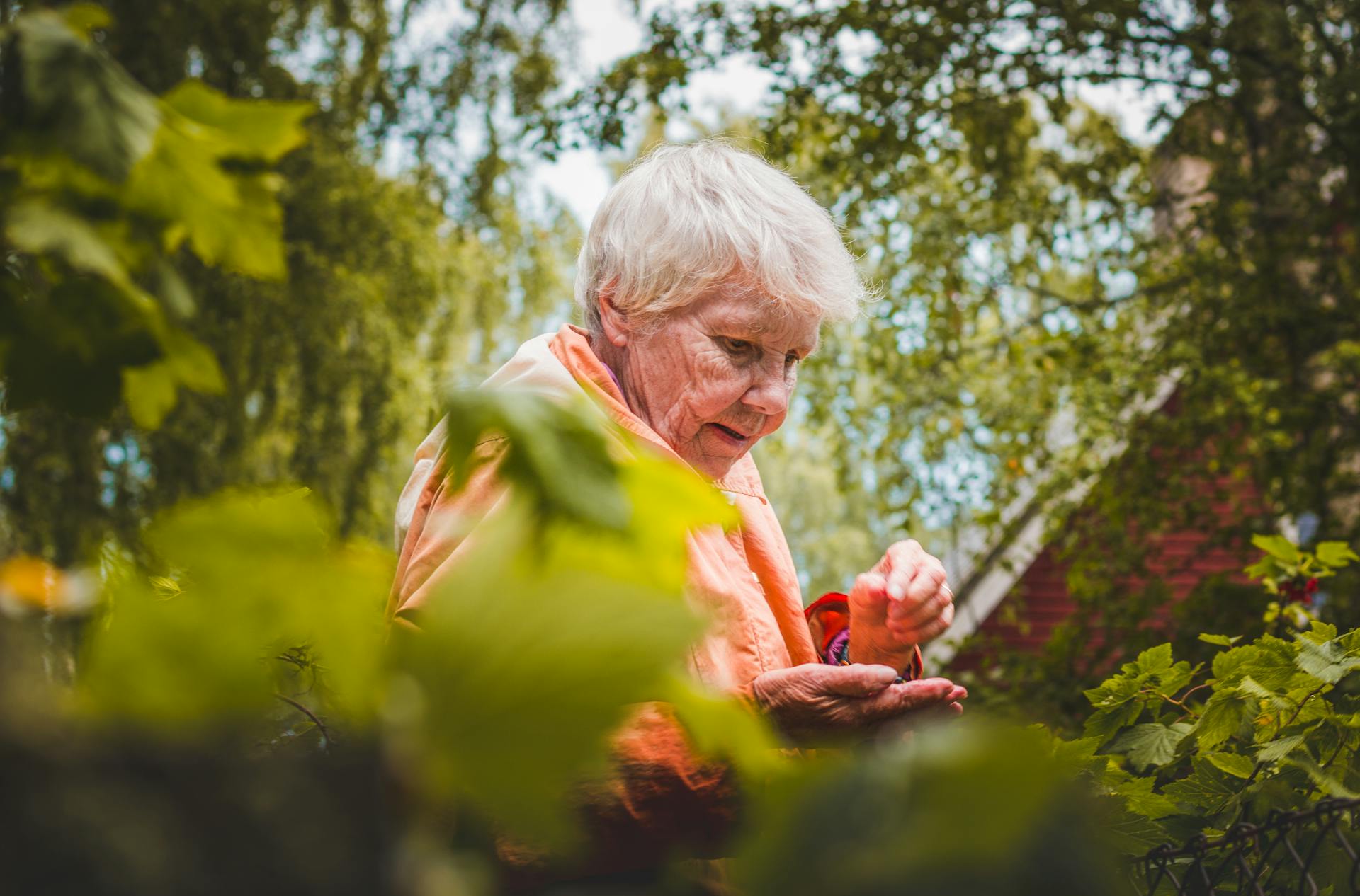 Una abuela cerca de las plantas | Fuente: Pexels