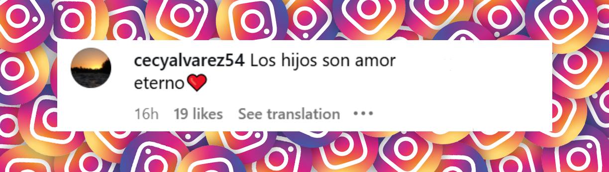 Comentario de una seguidora a la publicación de Evangelina Anderson | Fuente: Instagram/evangelinaanderson
