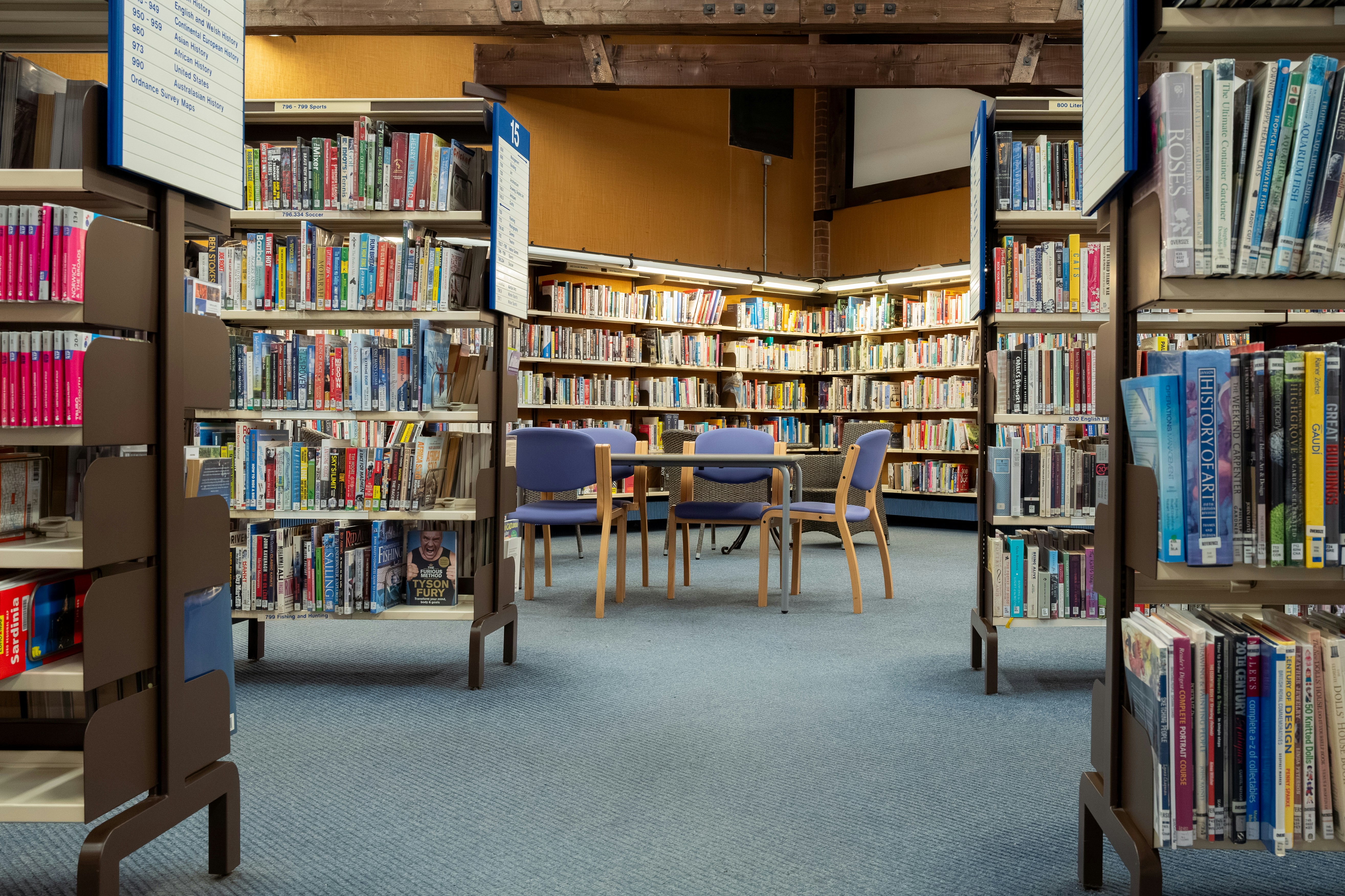 El interior de una biblioteca | Fuente: Unsplash