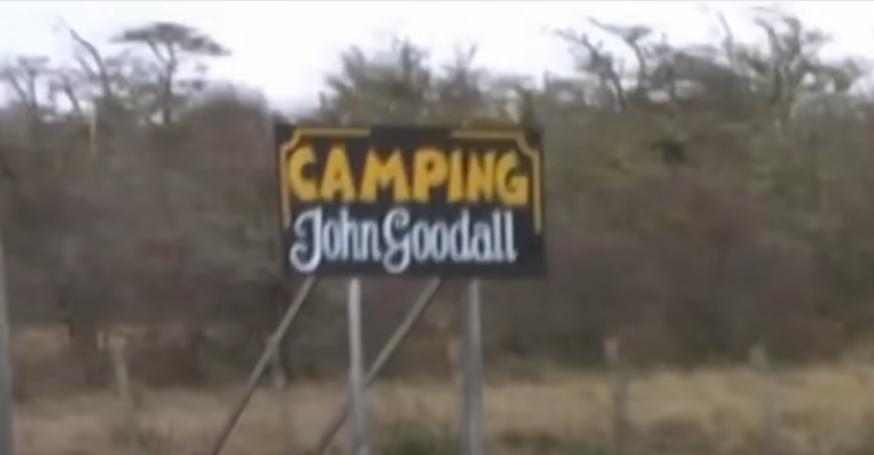 Sofía desapareció cuando iba de camping con su familia. | Fuente: Youtube/Historias Innecesarias.