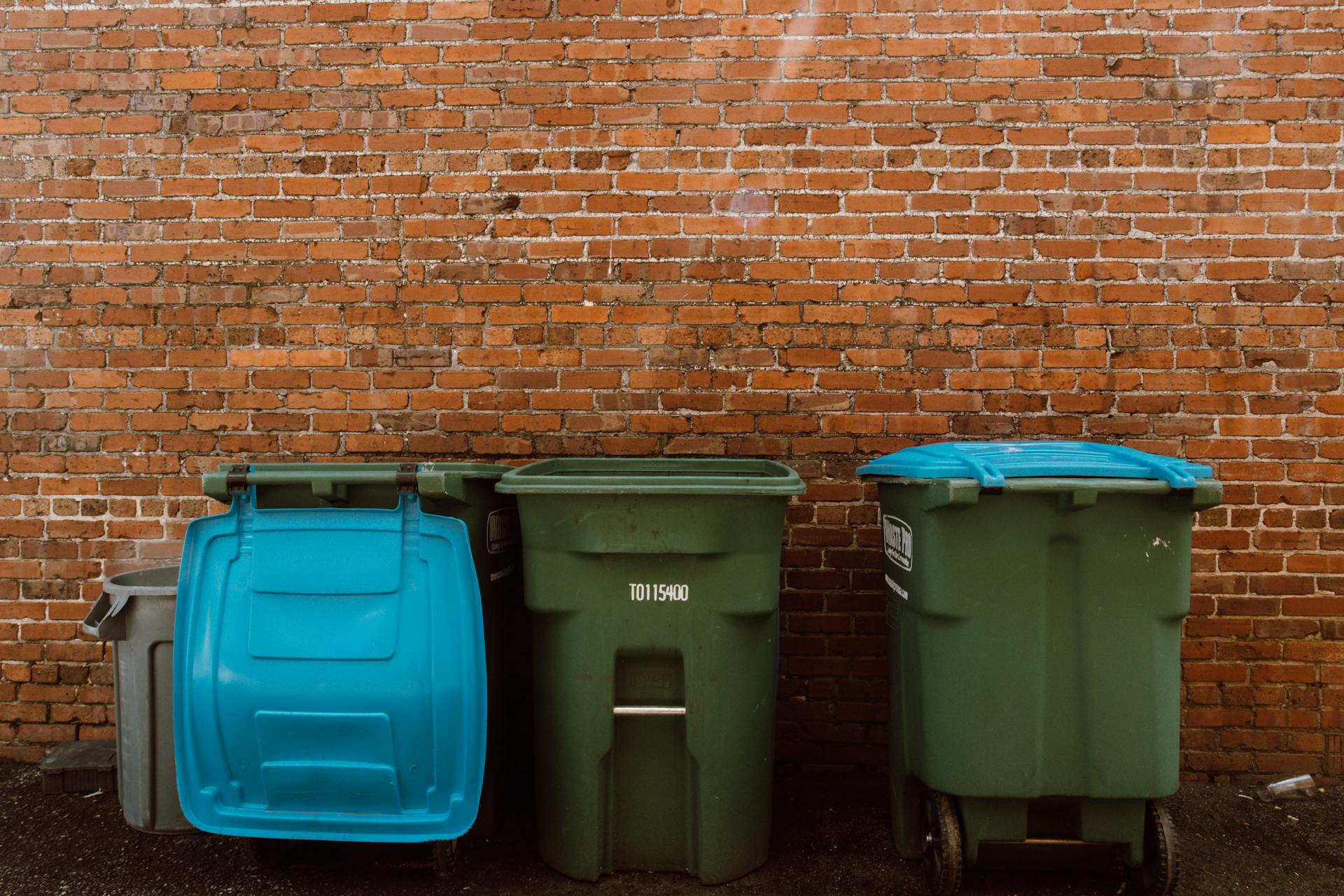 Cubos de basura delante de una pared | Fuente: Pexels