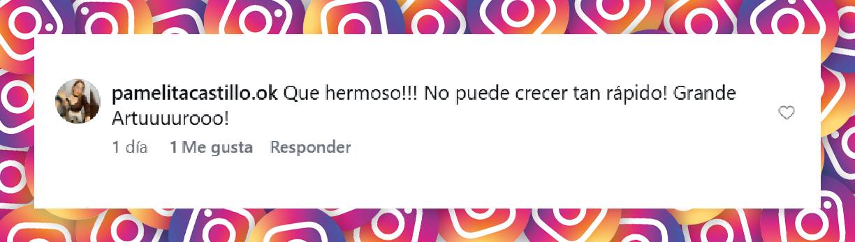 Comentario de una usuaria | Fuente: Instagram/jmena
