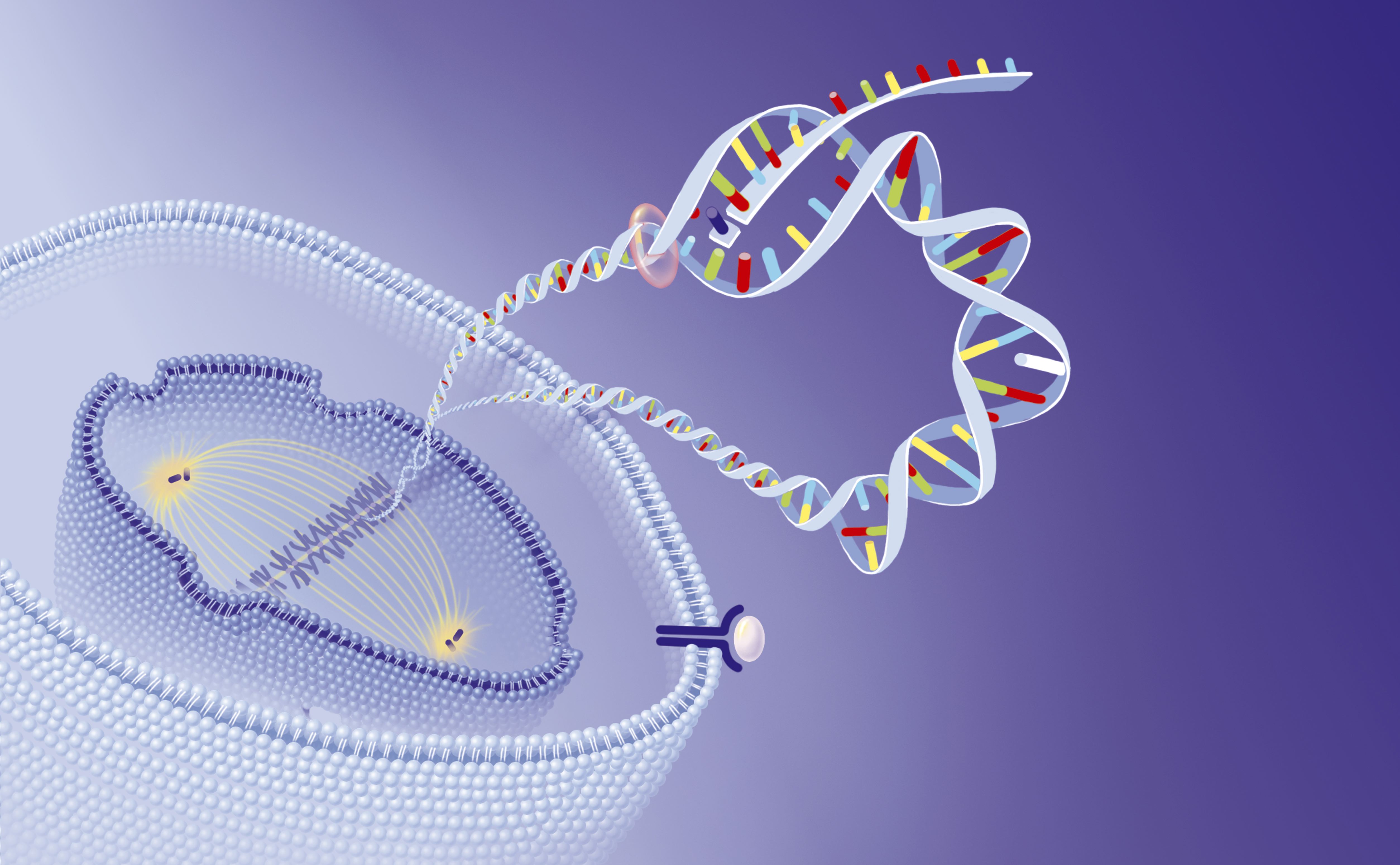 Agentes anticancerígenos orales | Fuente: Getty Images