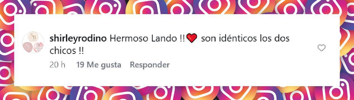 Comentario de una usuaria | Fuente: Instagram/danielachristiansson