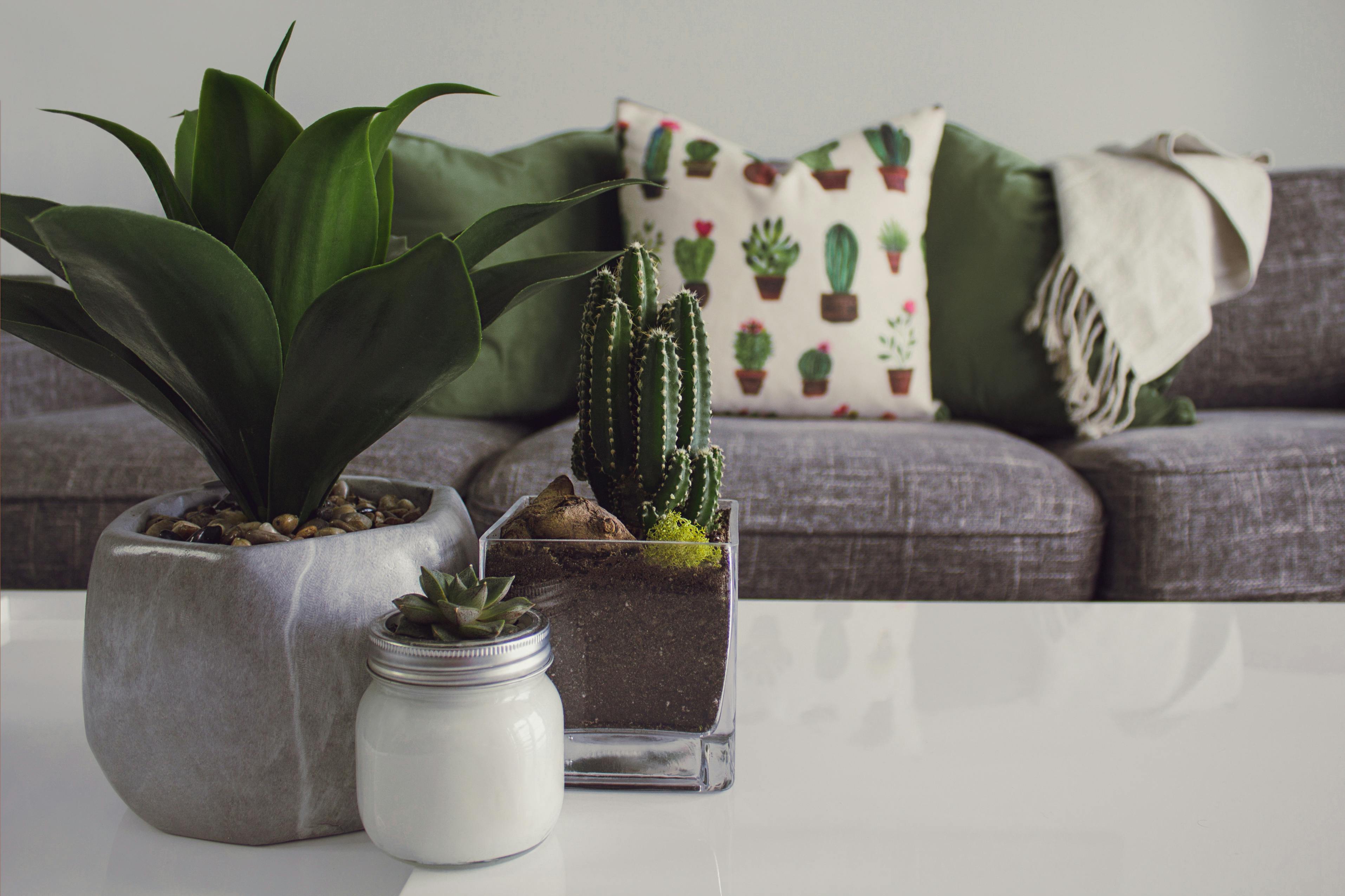 Imagen con fines ilustrativos | Foto: Pexels