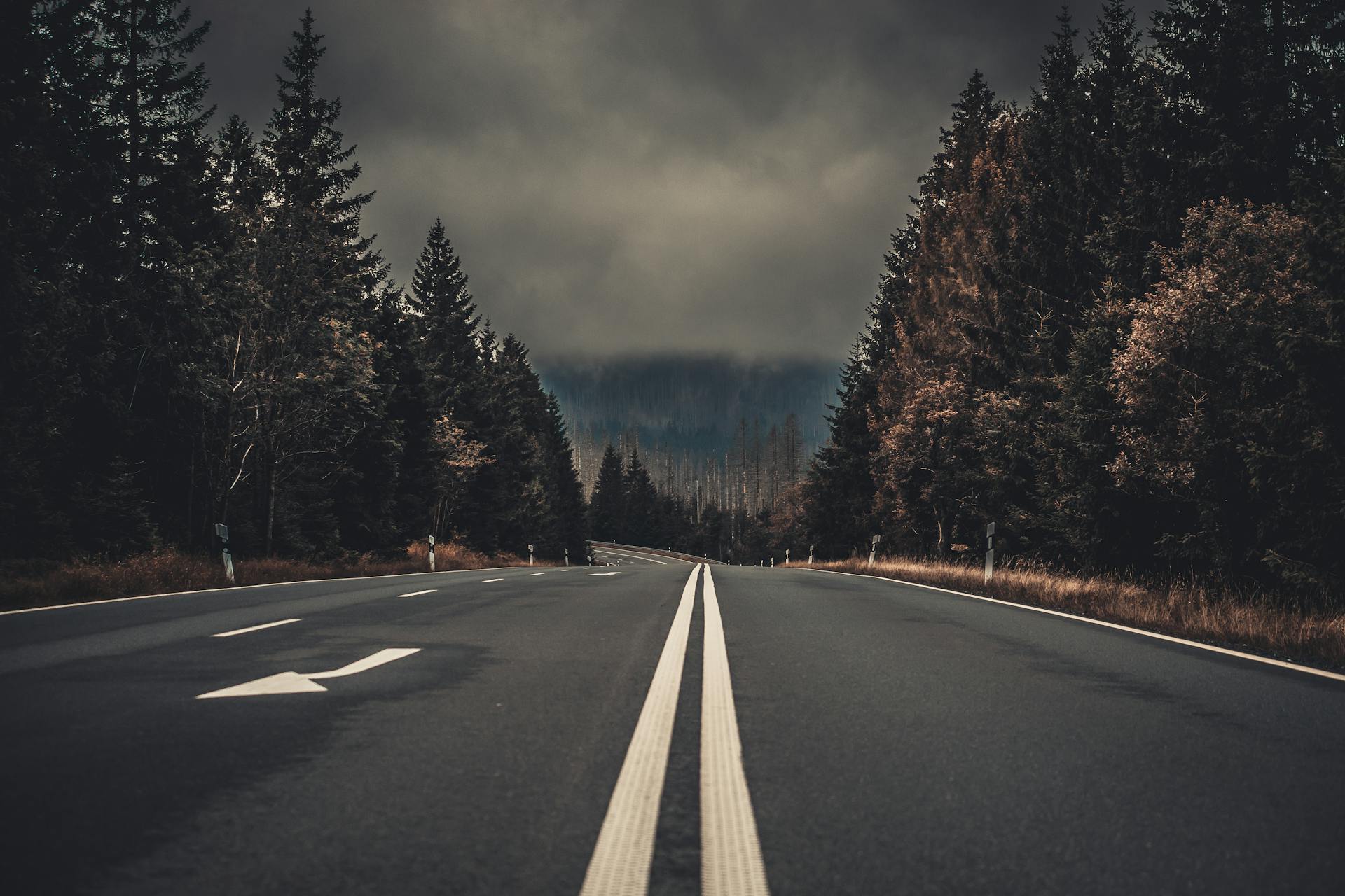 Una carretera | Fuente: Pexels