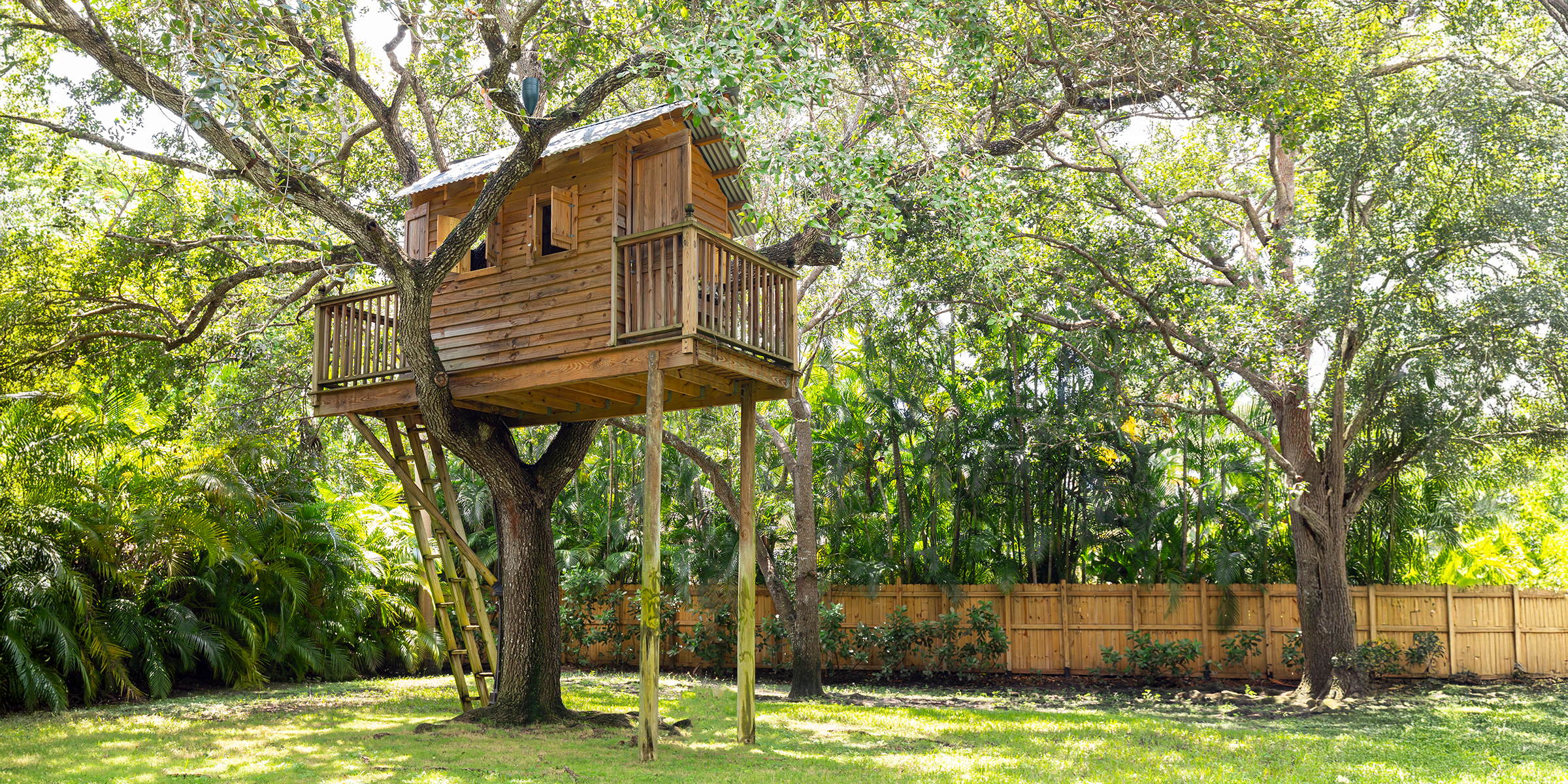 Una casa en el árbol en un patio trasero | Fuente: Shutterstock