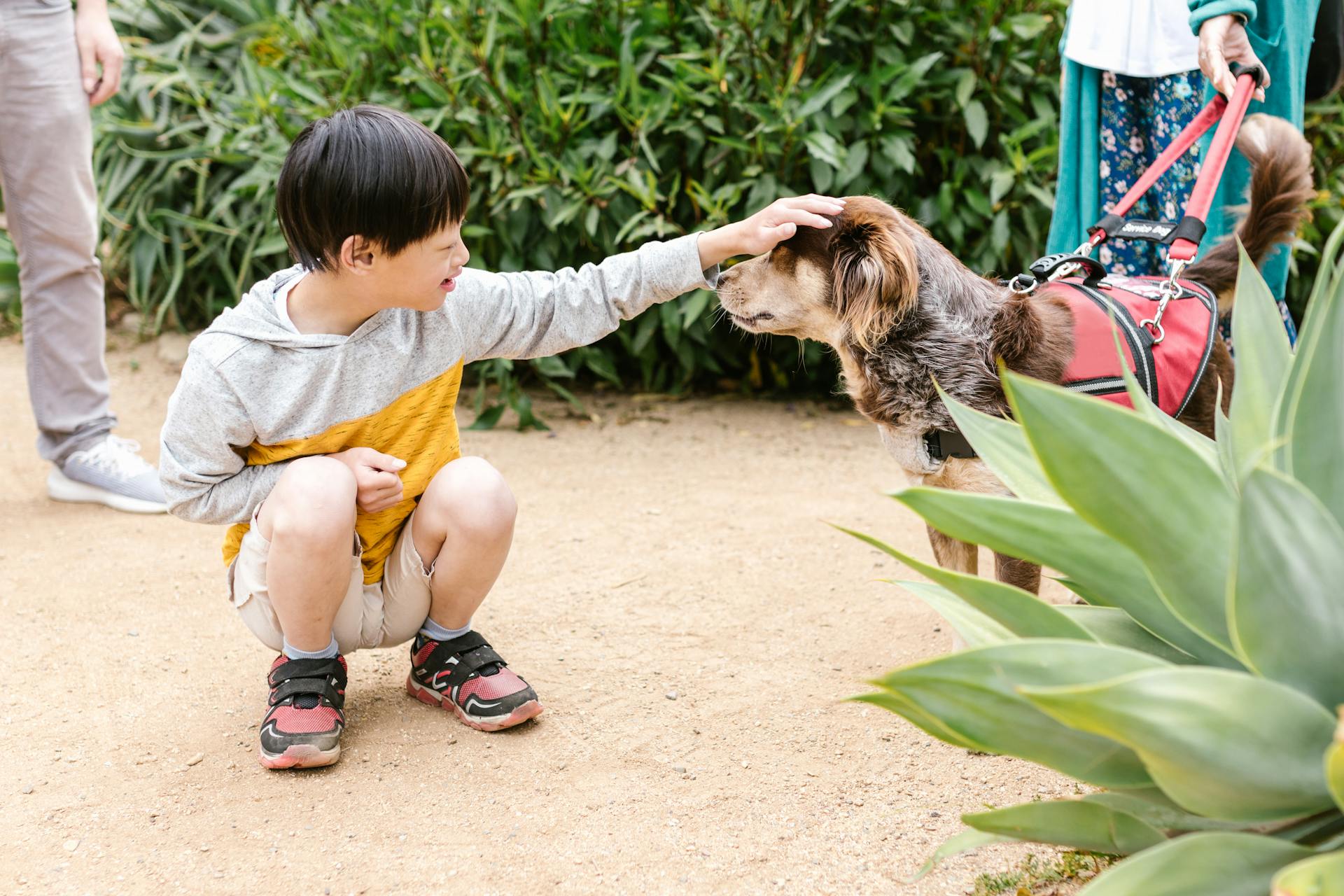 Un niño acariciando a un perro | Fuente: Pexels