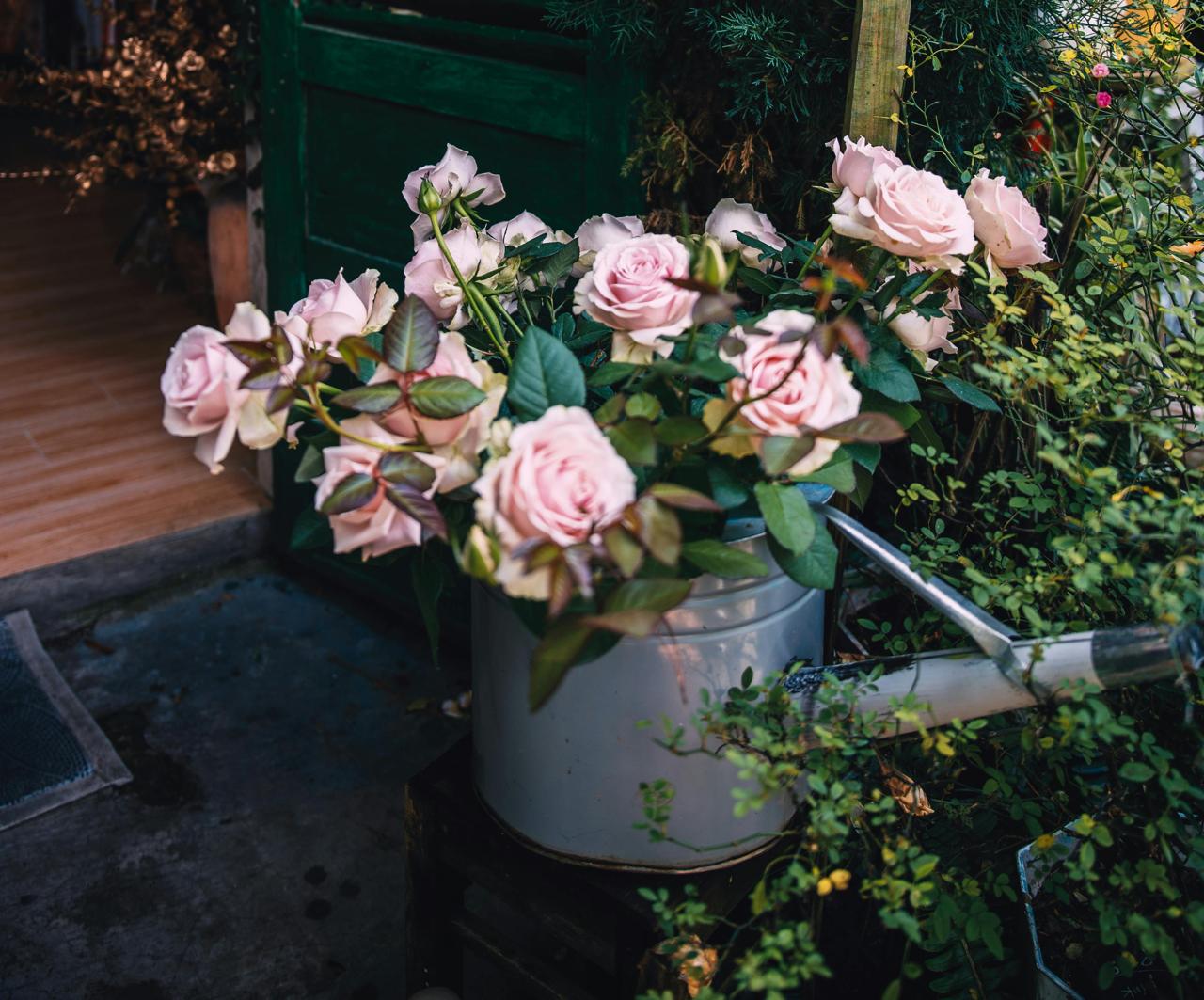 Imagen con fines ilustrativos | Foto: Pexels