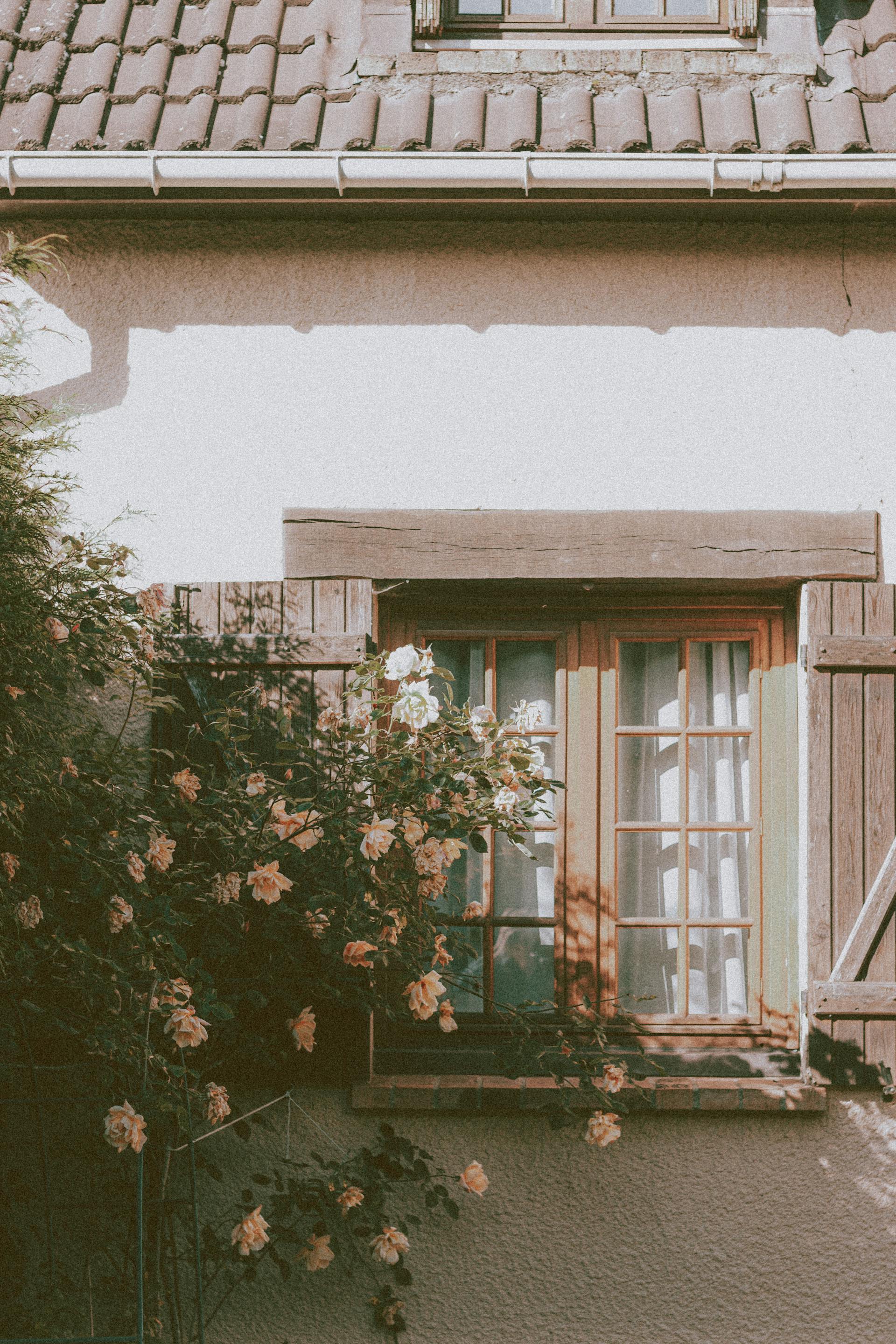 Un arbusto en flor cerca de la ventana de una casa de campo | Fuente: Pexels
