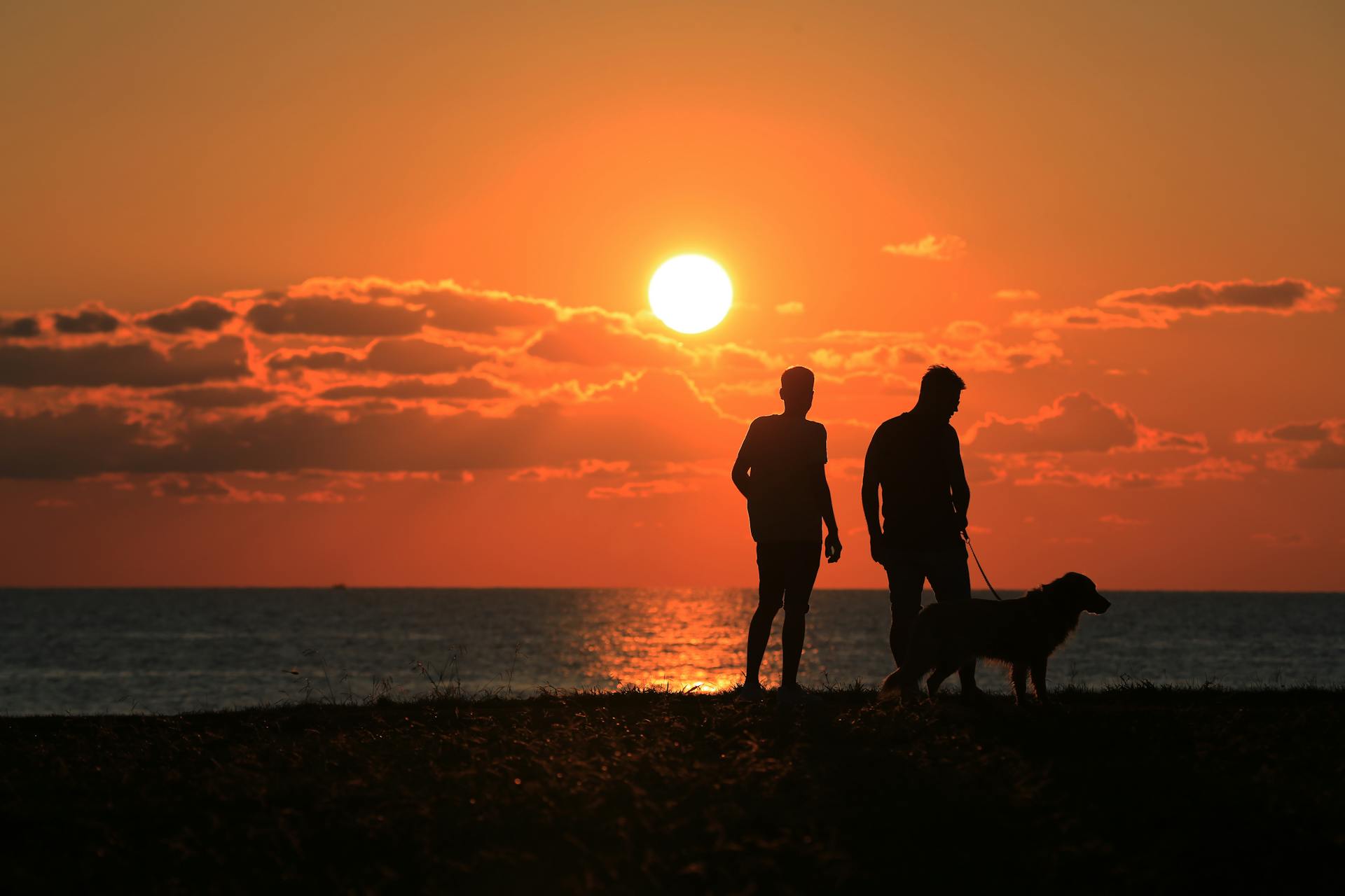 Silueta de dos hombres en la playa con su perro | Fuente: Pexels