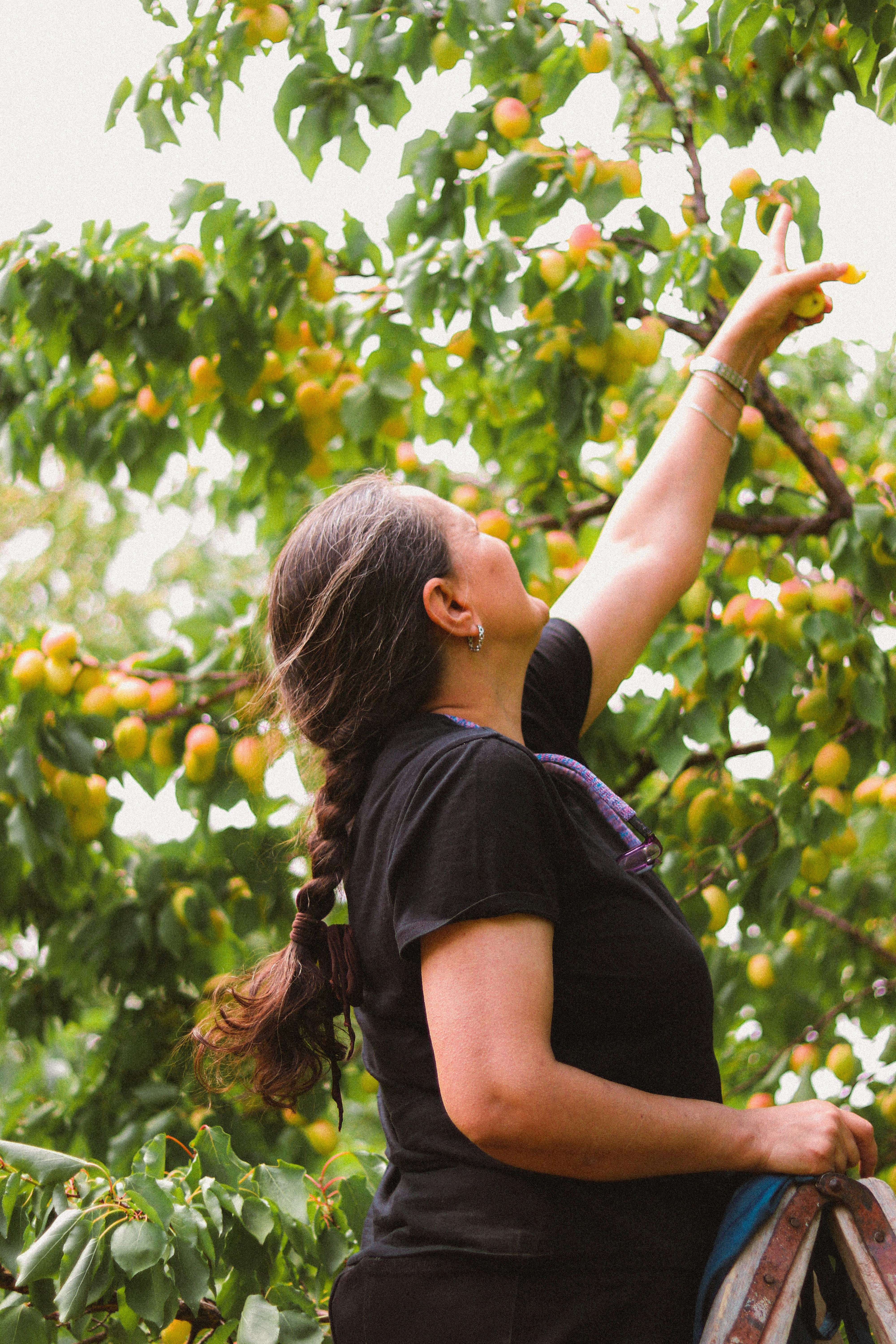 Una mujer ocupada en un jardín | Fuente: Pexels