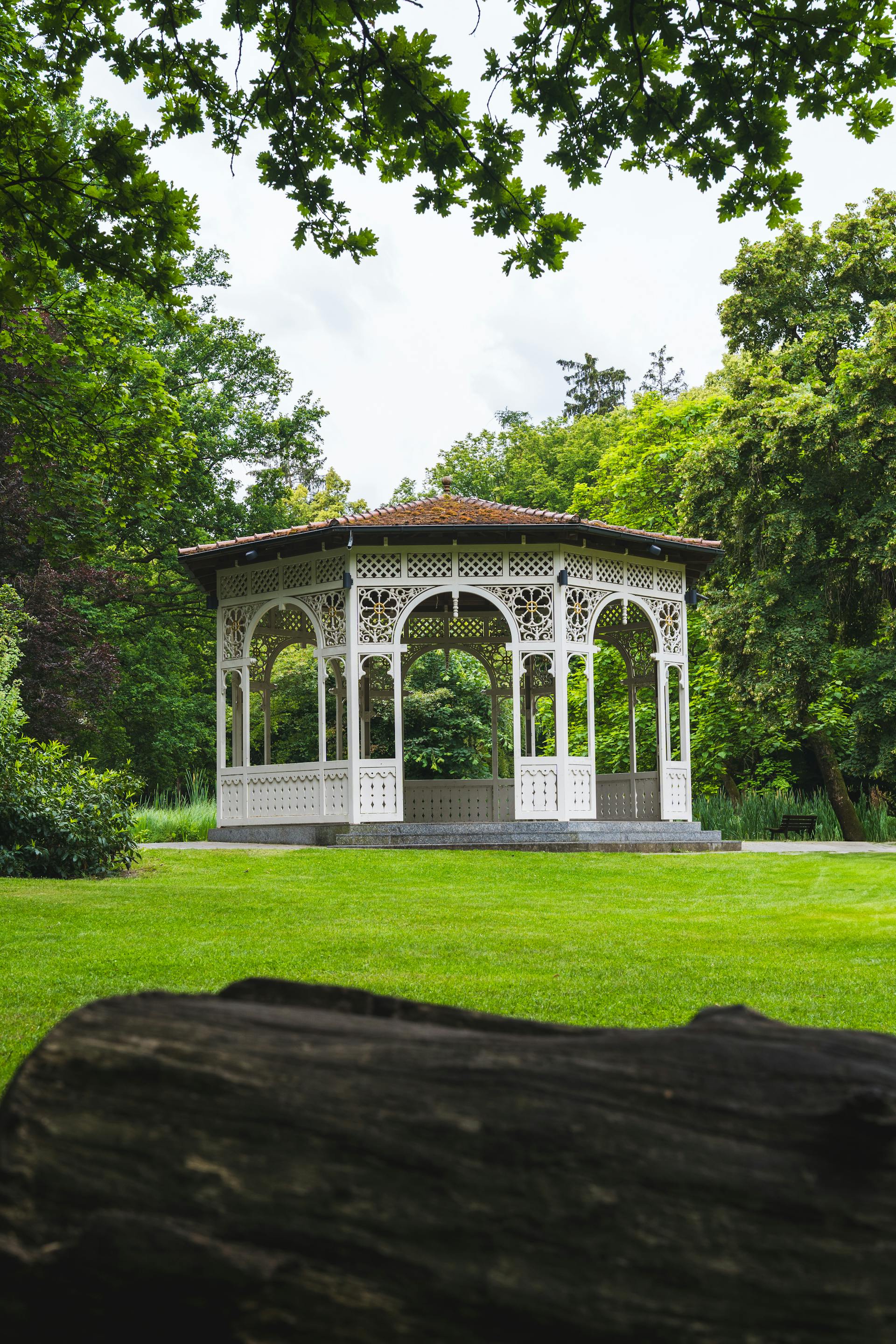 Una toma lejana de un cenador en un parque | Fuente: Pexels