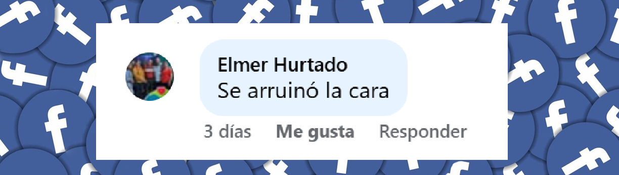 Comentario de un usuario sobre los procedimientos estéticos que se ha realizado Ninel Conde. | Fuente: Facebook/Memorias de una Hija de la Chingada.