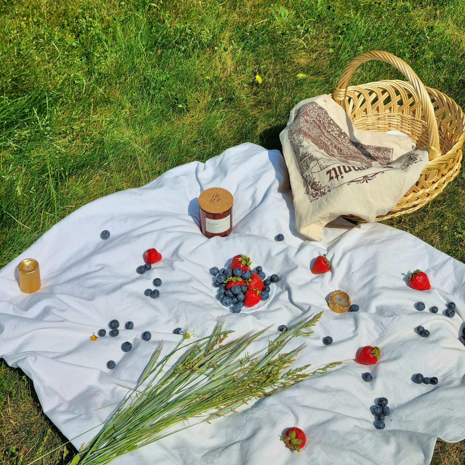Una cesta de picnic en un parque | Fuente: Pexels