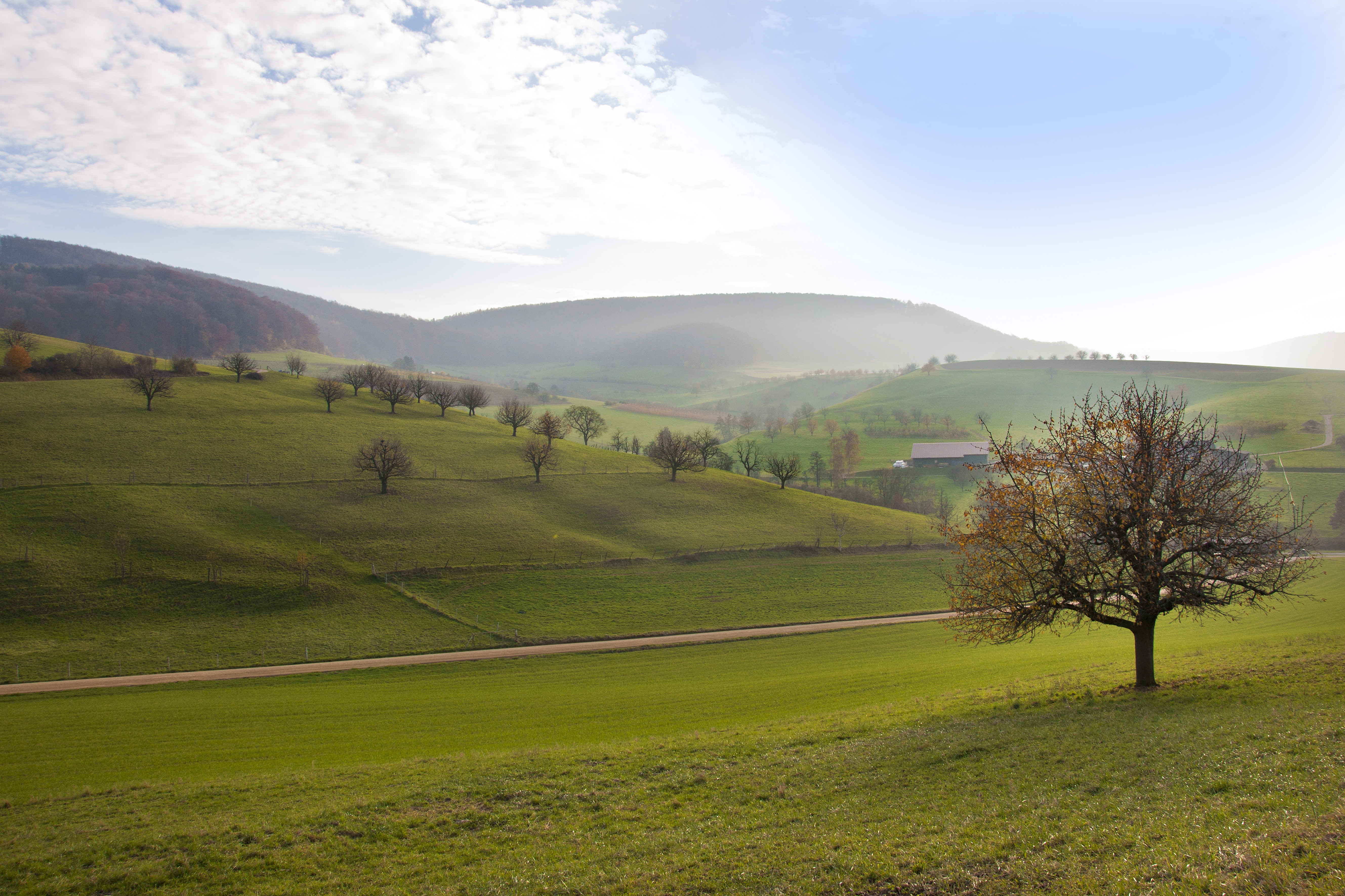Cantón de Basilea-Landschaft (imagen simbólica) | Fuente: GettyImages