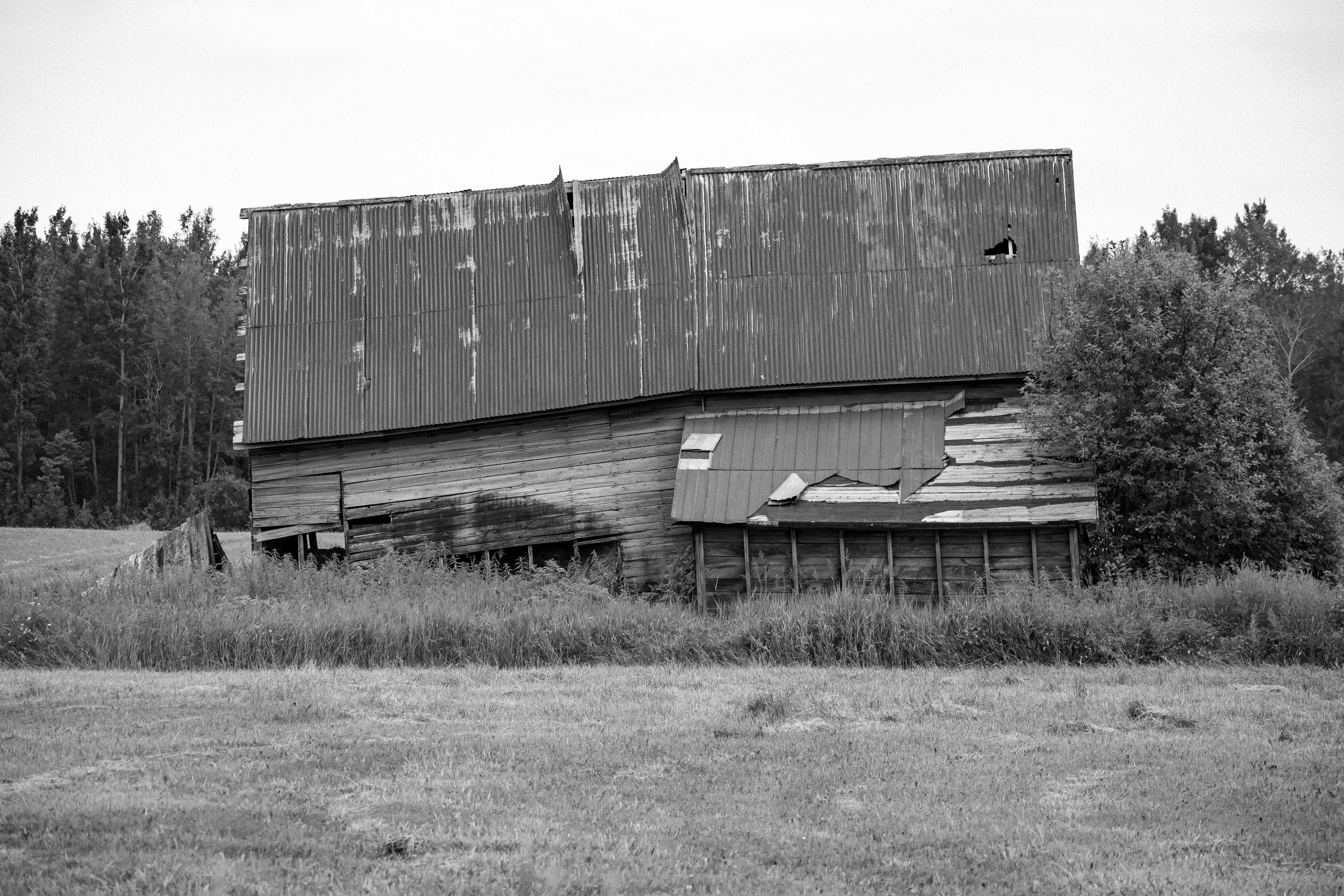 Un tenebroso edificio agrícola en ruinas | Fuente: Pexels