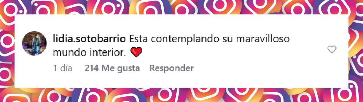 Comentario de una usuaria | Fuente: Instagram/dariobarassi