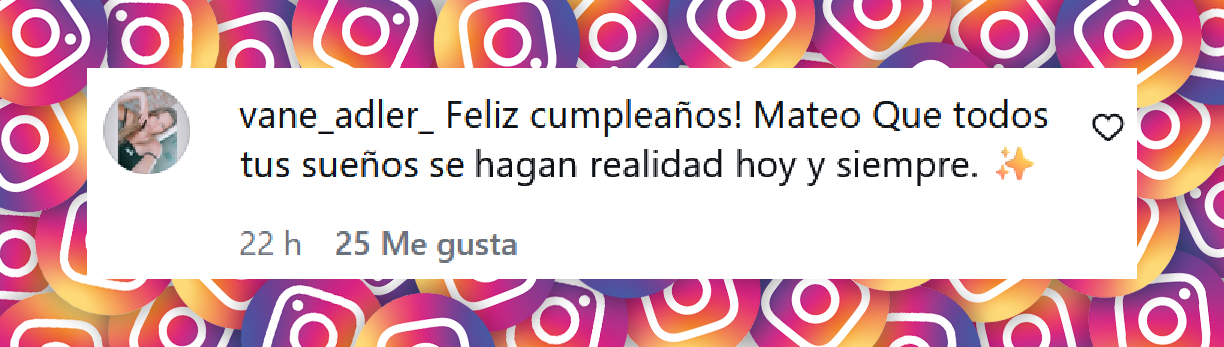 Comentario de una usuaria deseándole feliz cumpleaños a Mateo, el hijo de Galilea Montijo y Fernado Reina | Fuente: Instagram/galileamontijo