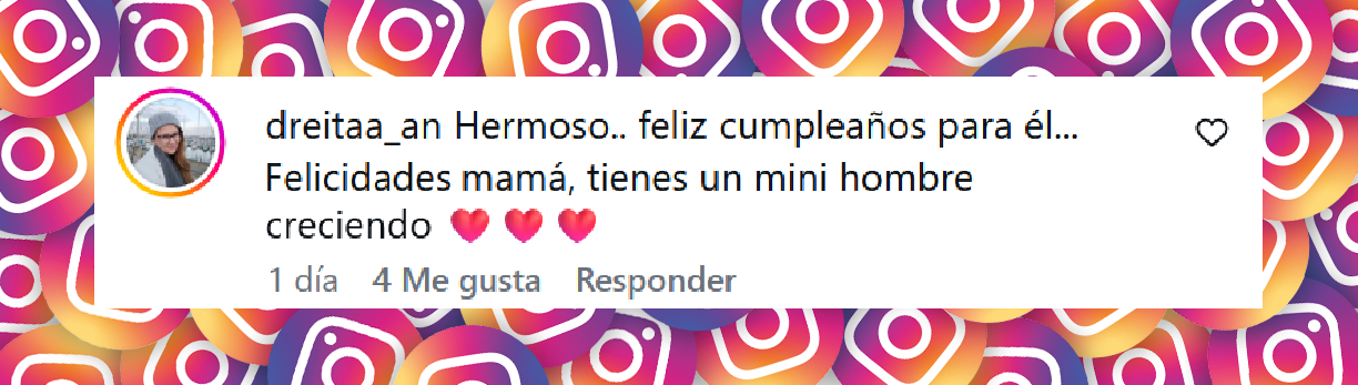 Comentario de una usuaria sobre las fotografíasde cumpleaños de Toribio, el primogénito de Juana Repetto | Fuente: Instagram/juanarepettook