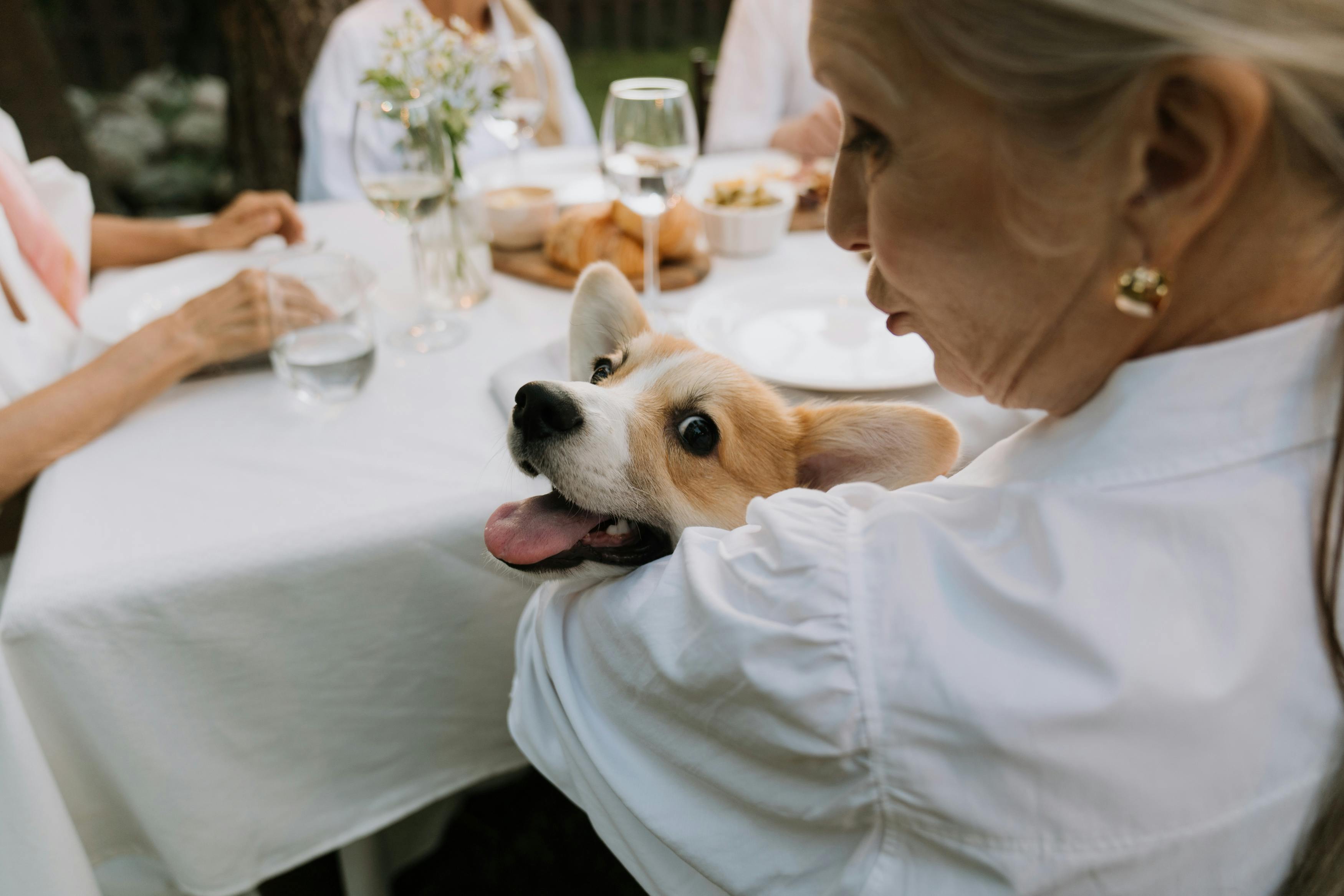 Una mujer con un perro en brazos | Fuente: Pexels