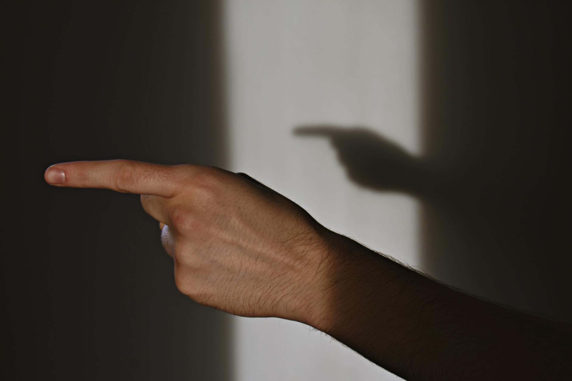 Una persona señalando con el dedo | Fuente: Pexels