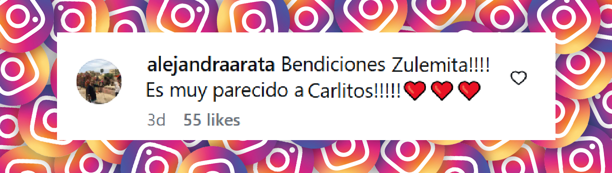 Comentario de una internauta al ver la foto publicada por Zulemita en sus redes. | Fuente: Instagram/zulemamenem.