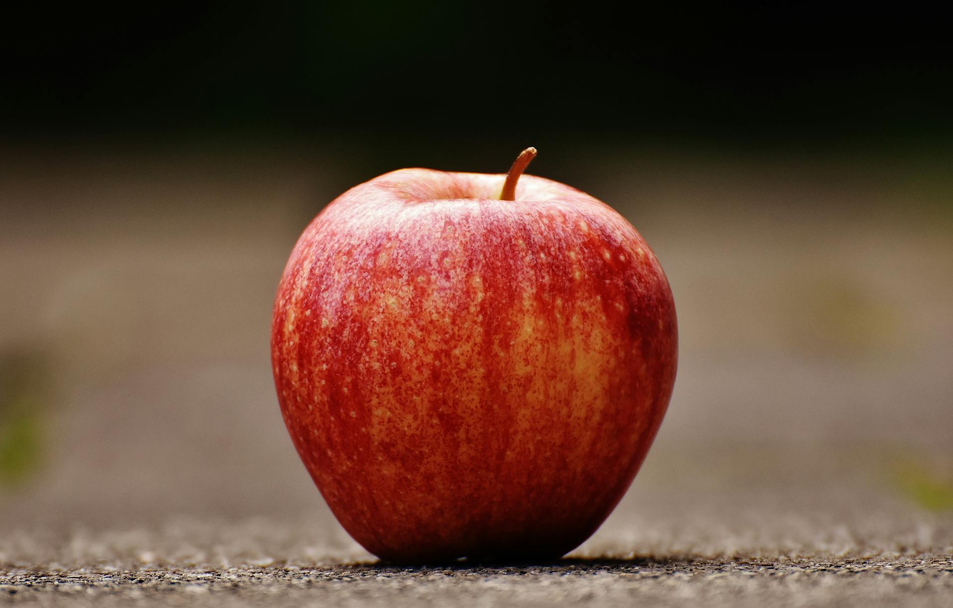 Imagen con fines ilustrativos | Foto: Pexels