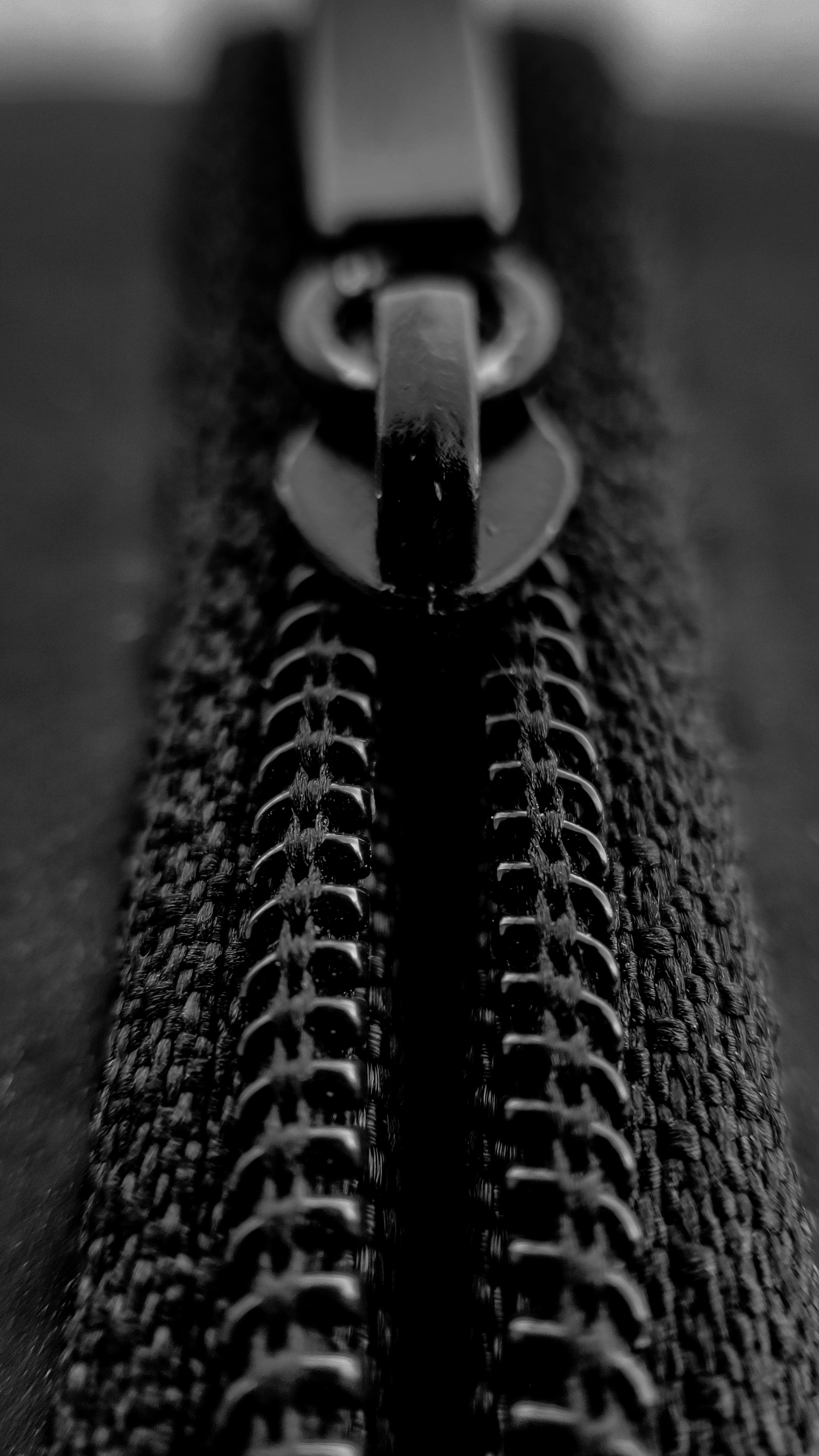 Un primer plano de una cremallera | Fuente: Unsplash